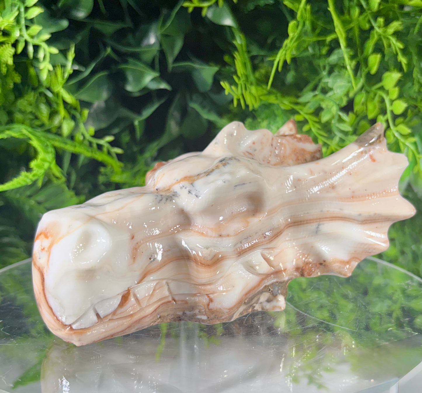 Amber Calcite Dragon Head Carving - Confidence • Clarity • Ancient Wisdom