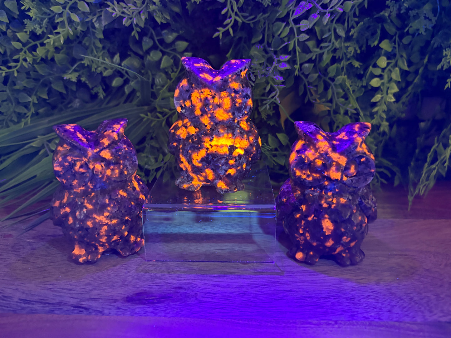 Yooperlite Owl Carving UV Reactive - Grounding - Truth & Awareness