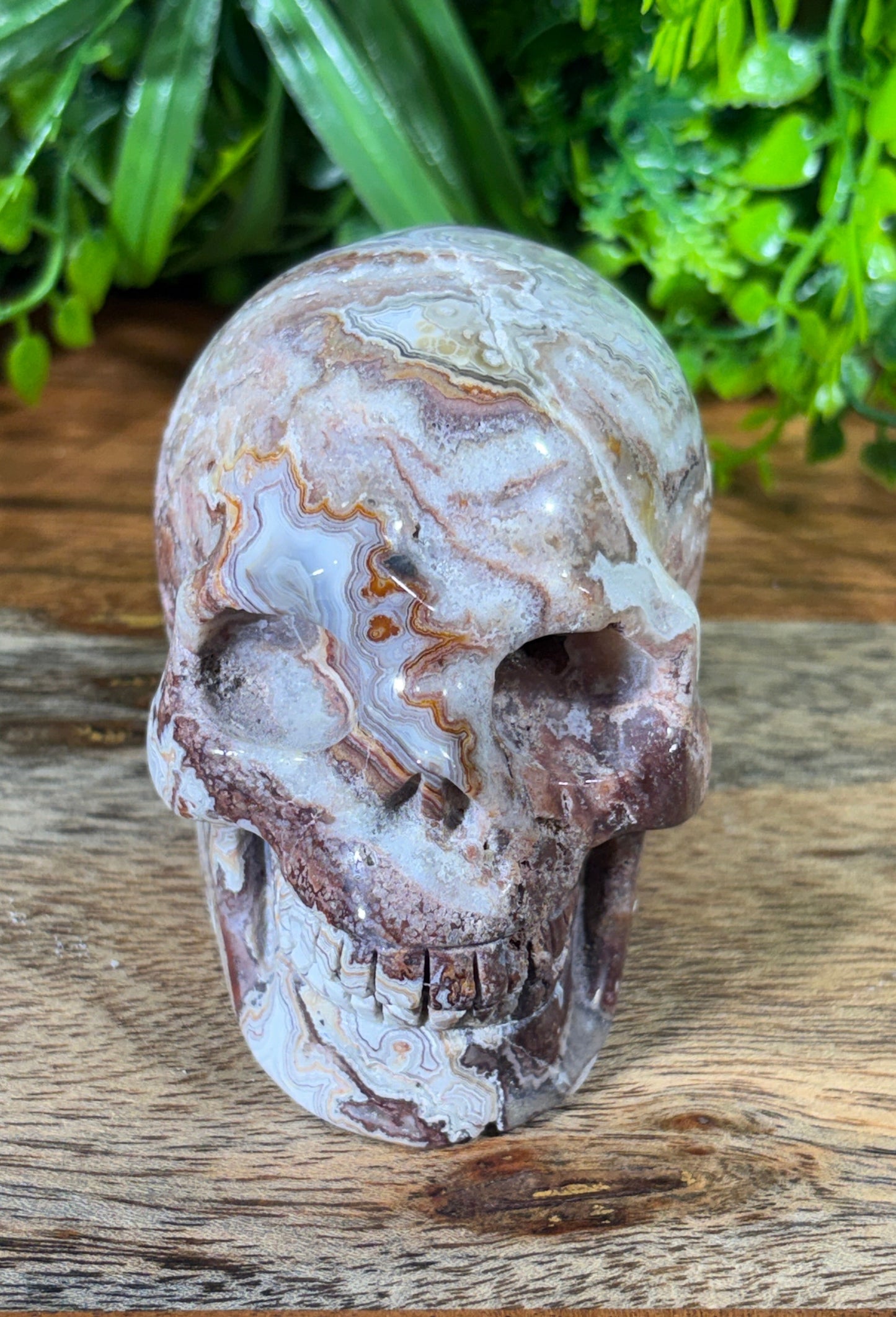 White Mexican Lace Agate Skull - Balance • Clarity • Grounding