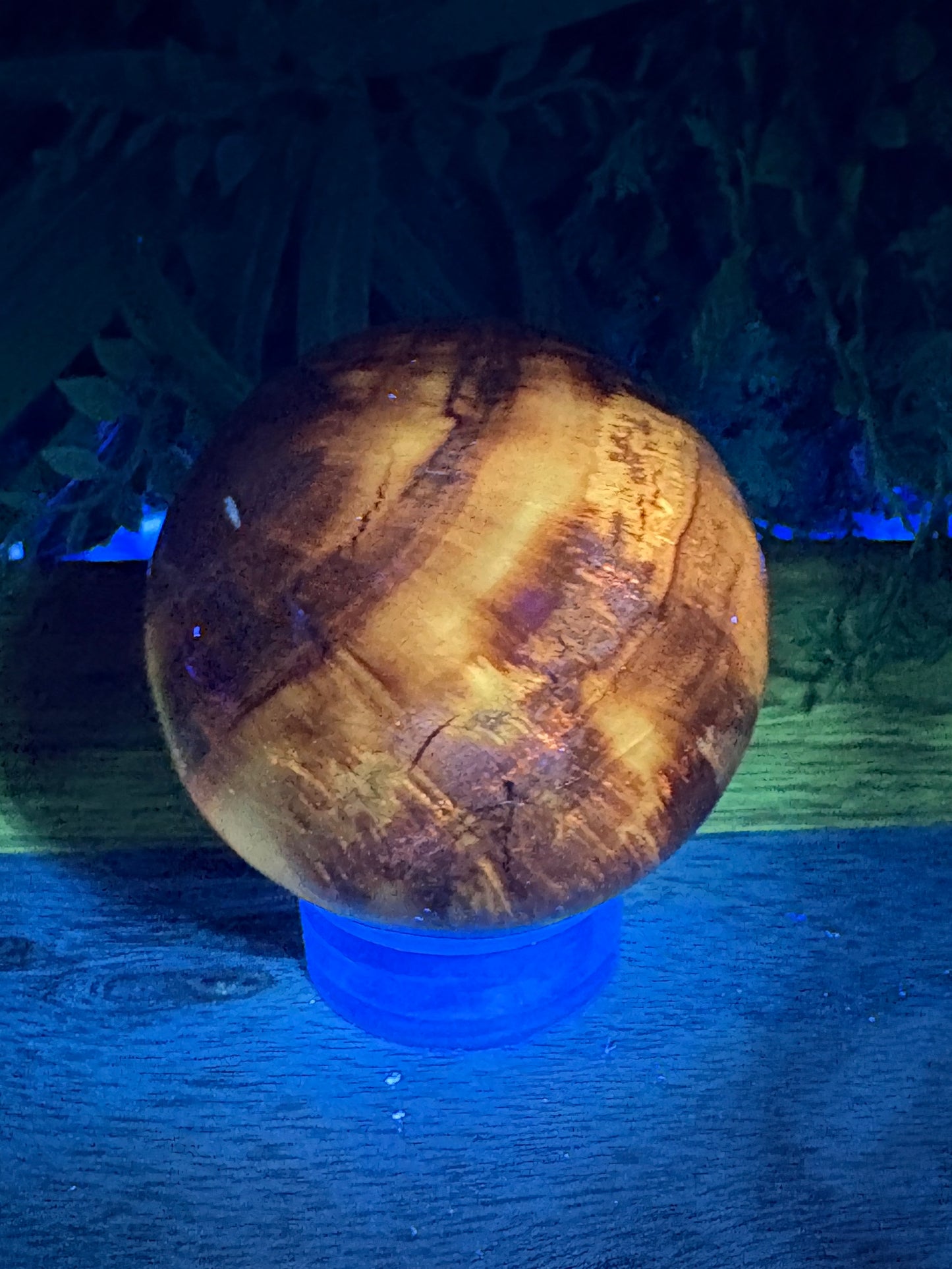 Petrified Wood Sphere • 59mm - Grounding • Ancient Wisdom • Transformation