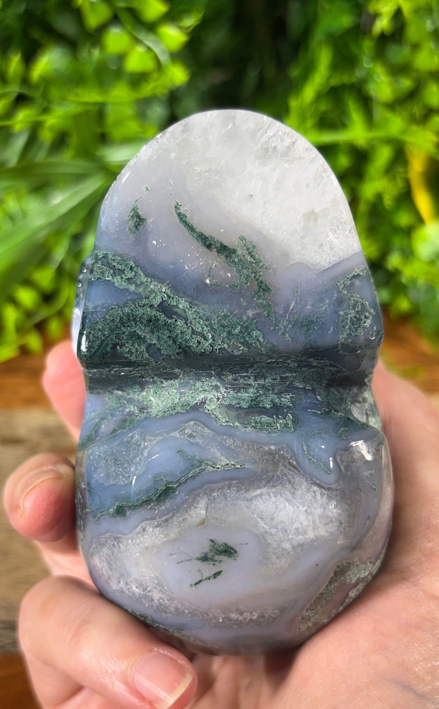 Moss Agate Skull - Grounding • Growth • Abundance
