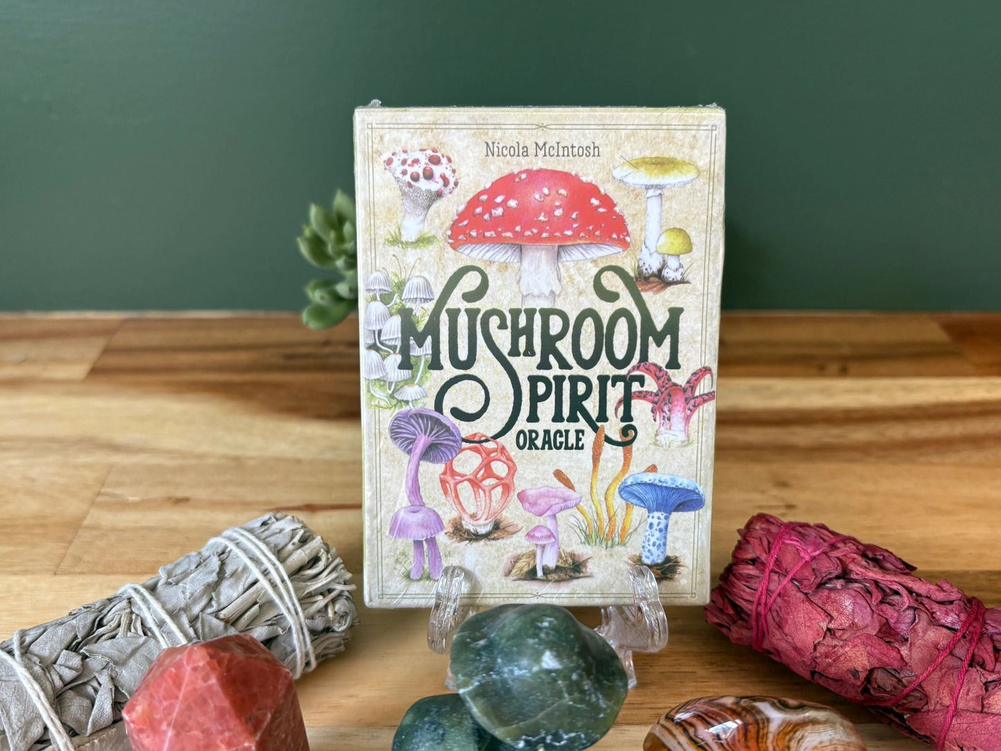 Rooted Realms 🍄 Grounding Crystal Kit | Earth Wisdom • Stability • Protection