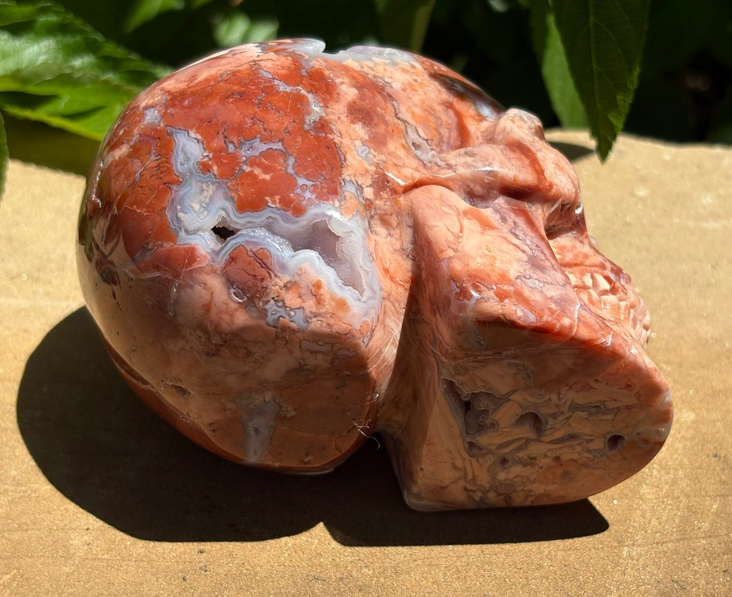 💀 Pink Petal Agate Skull with Druzy Crown – Grounded Joy, Ancient Wisdom & Spiraled Sparkle 1.65 lbs. | 4" x 2.5" x 3" |