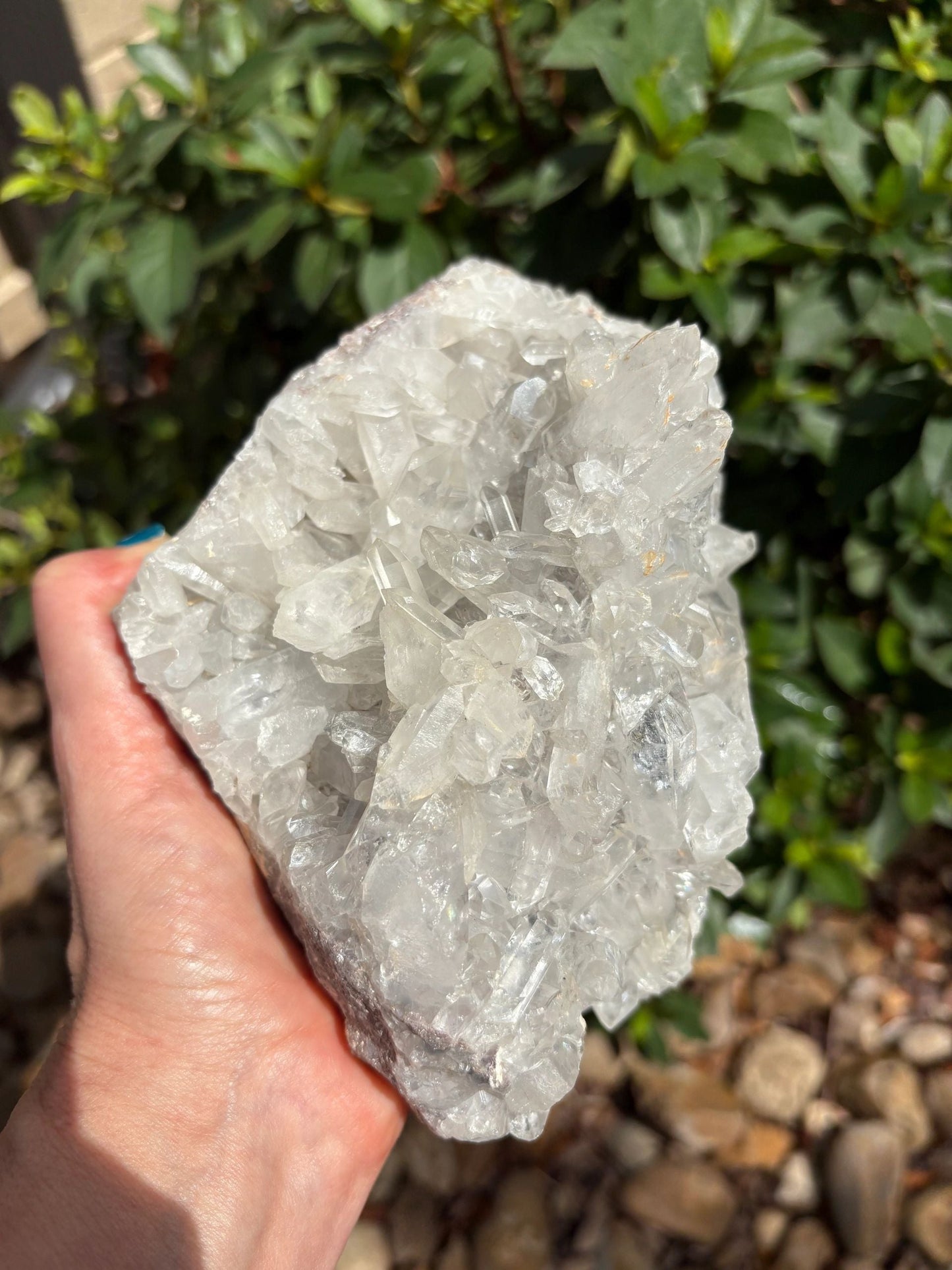 Clear Quartz Crystal Cluster — Amplification, Clarity & Prism Glow Raw, One-of-a-Kind | Over 4 lb | Rainbow Flashes