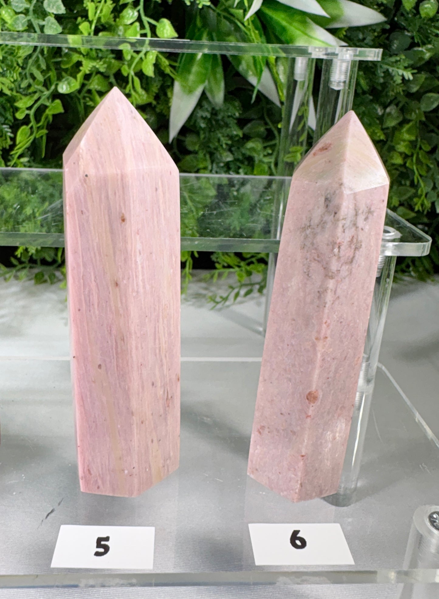 Pink Petrified Wood Points | Natural Fossil Wood Crystals- Ancient Wisdom • Gentle Growth • Steady Grounding
