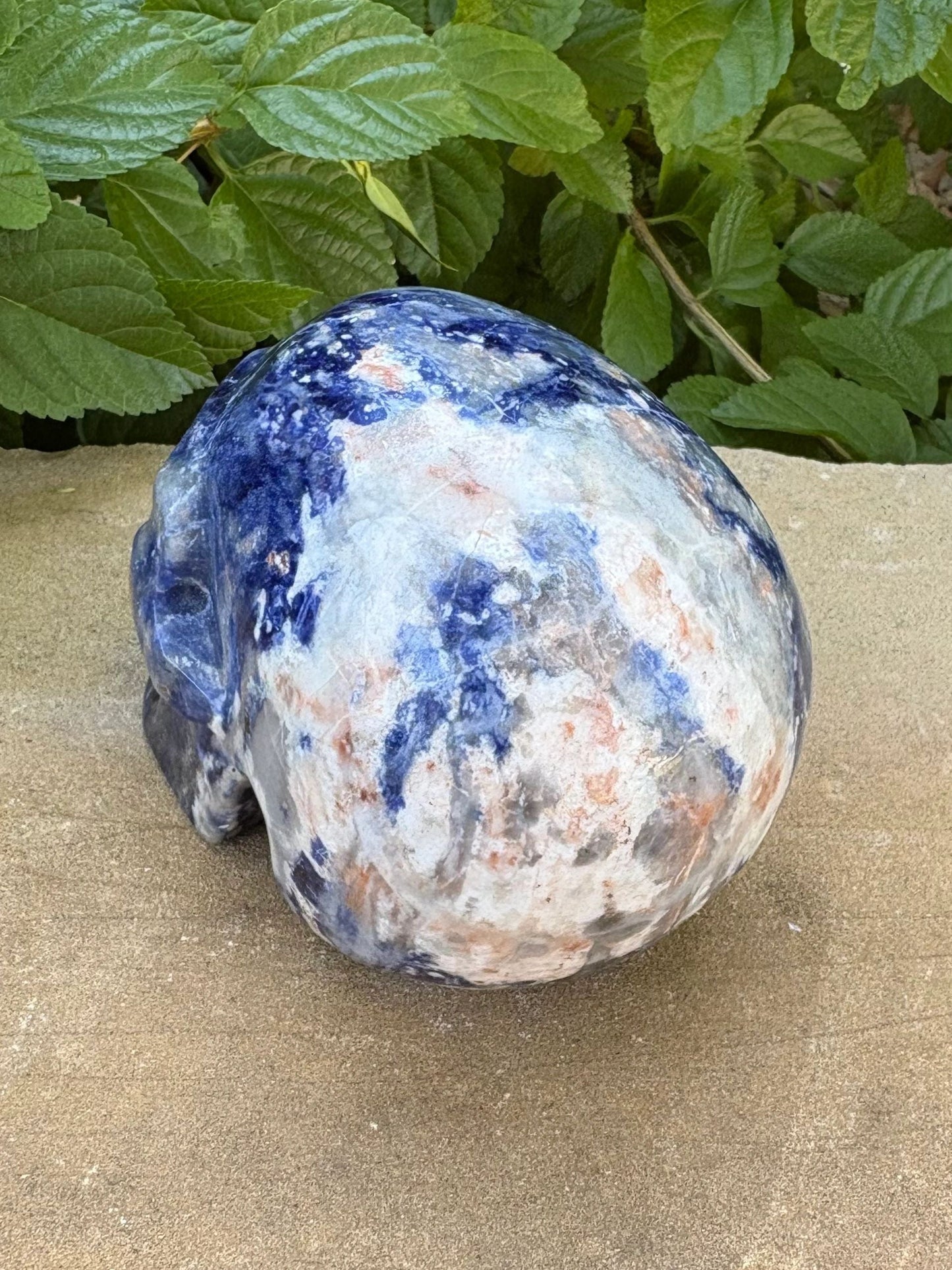 💙 Sodalite Crystal Skull – Intuition, Clarity & Balance | Hand-Carved Hallowed Out Skull Wisdom