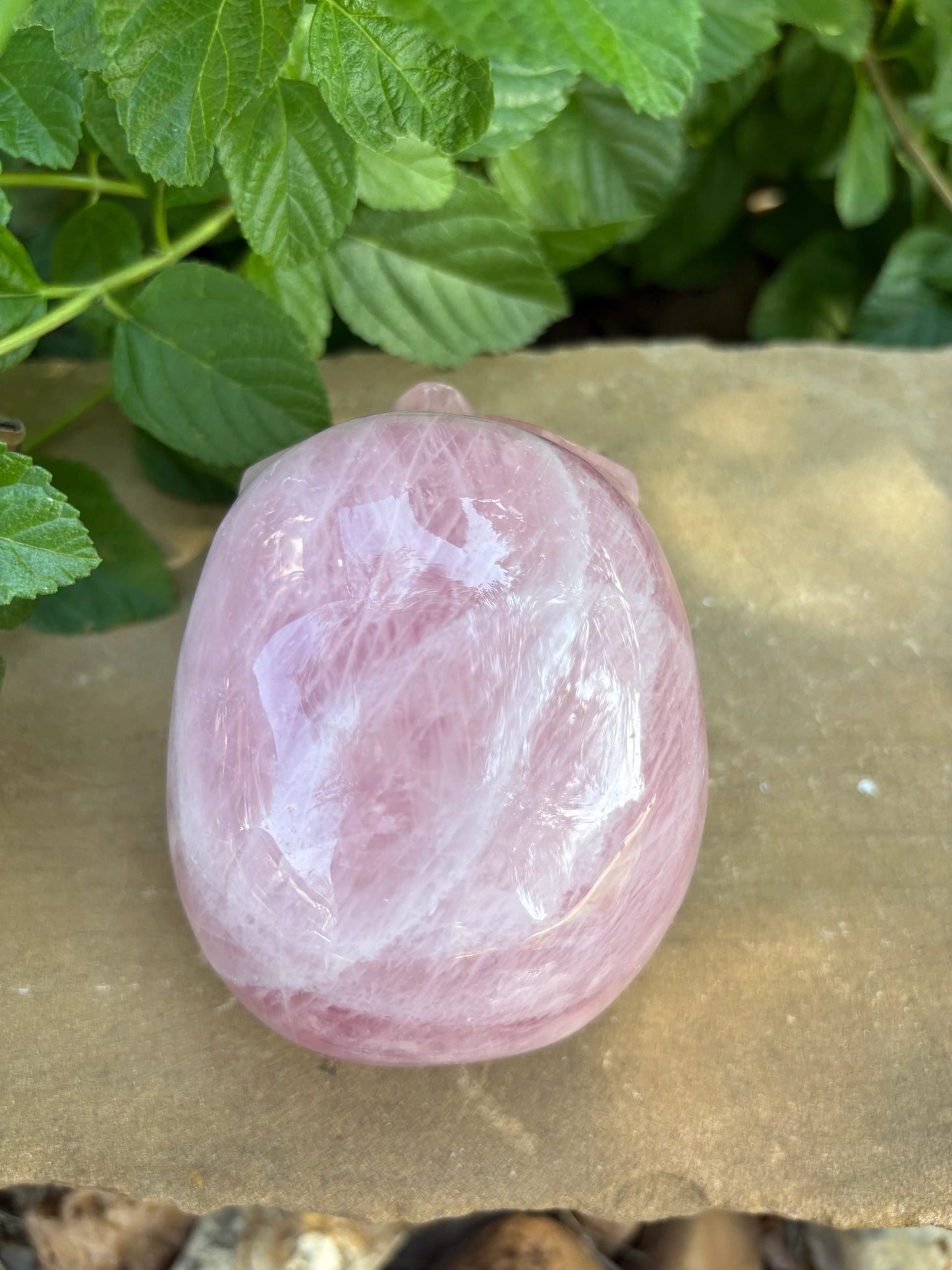 💗 2.44 lb. Madagascar Rose Quartz Skull – Love, Compassion & Cosmic Sass | 4.4"