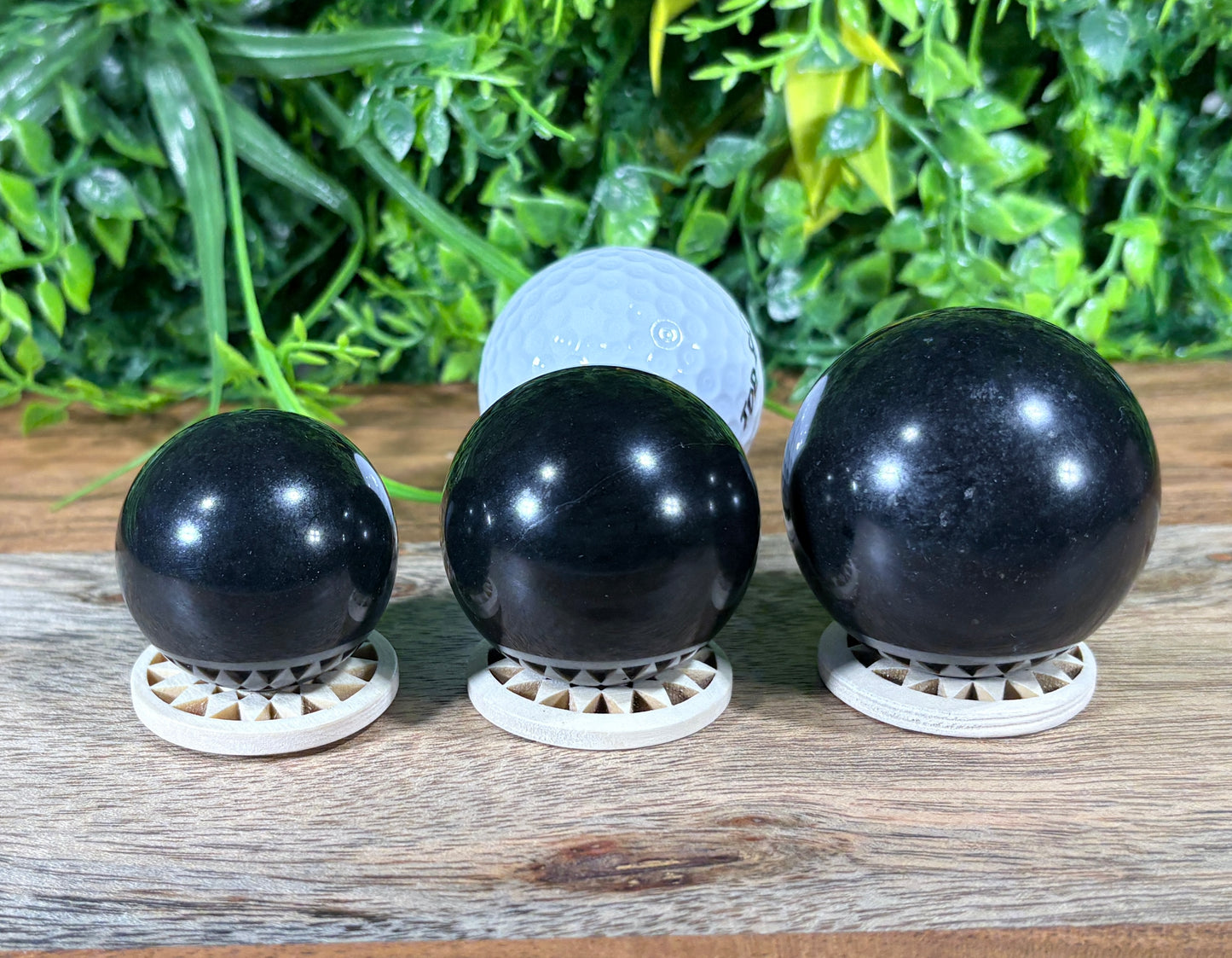 Three black spherical objects displayed on small white circular stands on a wooden surface, with a golf ball behind them and a green leafy backdrop.