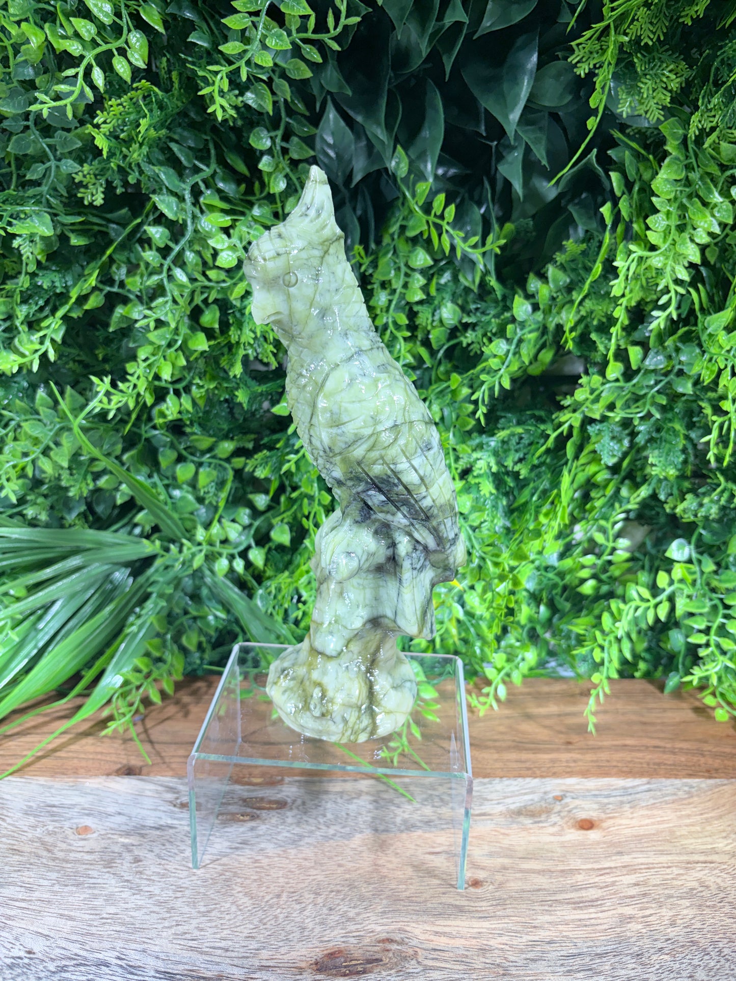 Serpentine "New Jade" Parrot | Prosperity • Growth • Wisdom