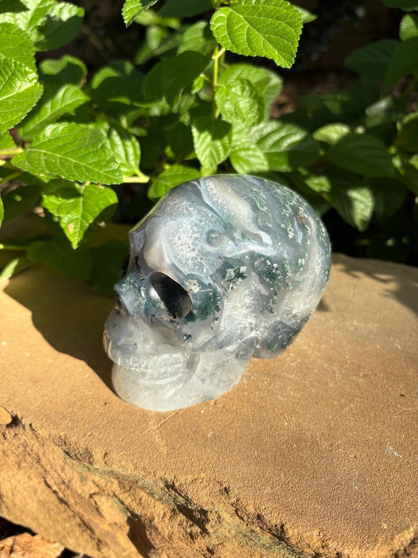 🌍2.18 lb. Moss Agate Skull with Crown Druzy Glow – Planet Earth Vibes, Balance & Wild Renewal