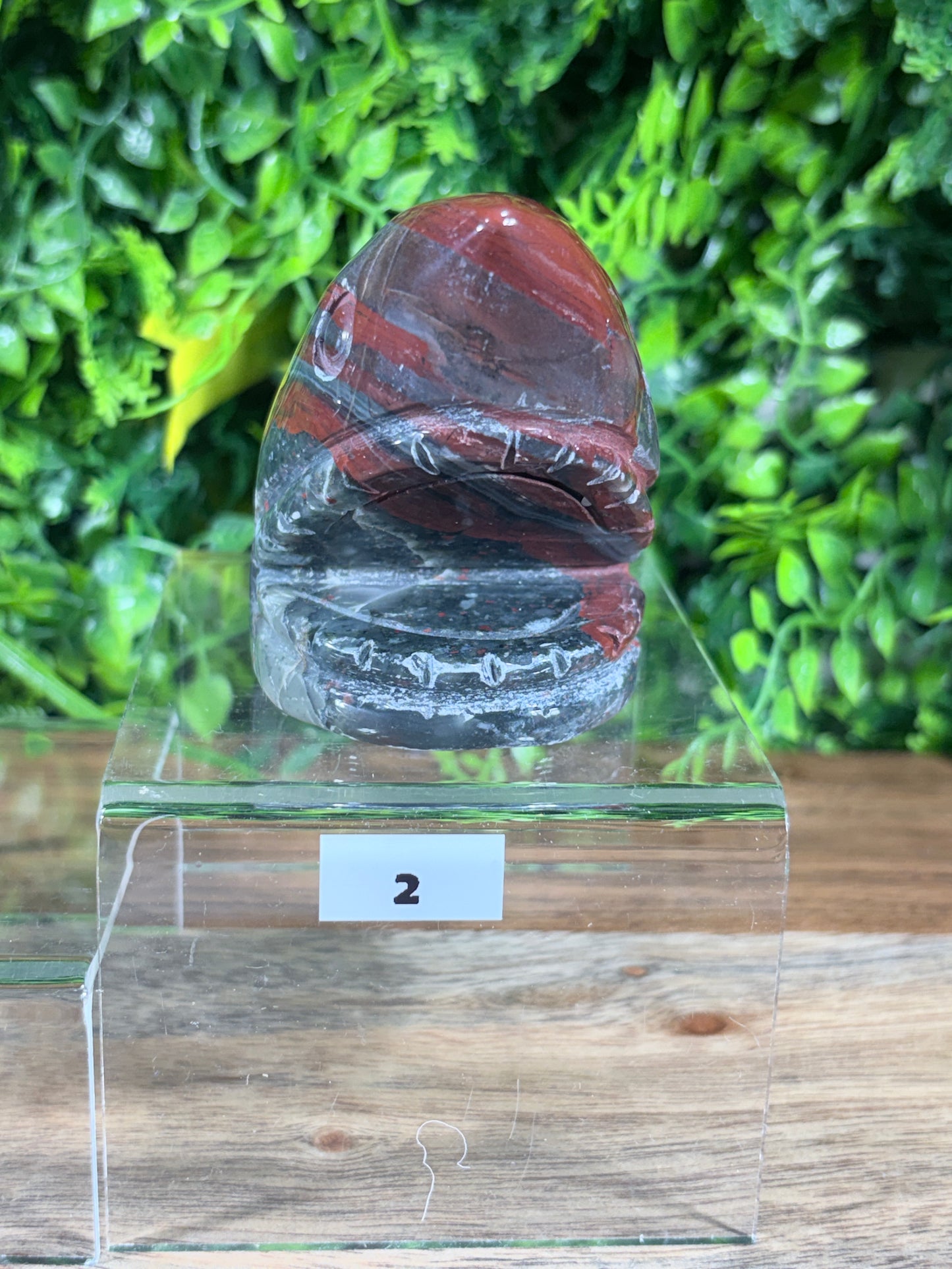 African Bloodstone Shark Head - Courage • Strength • Protection
