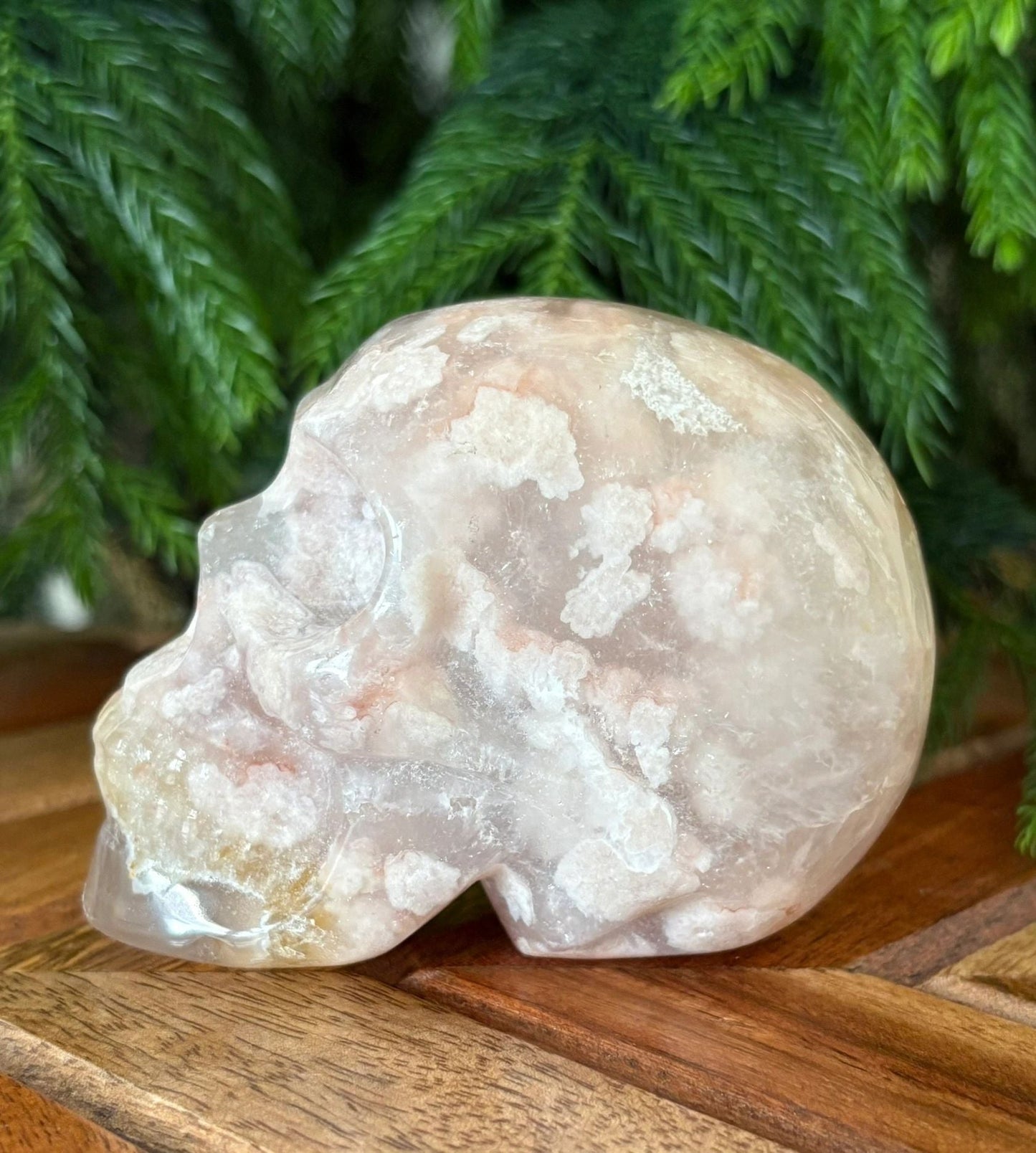 🌸 Flower Agate Skull – Growth, Glow & Cosmic Comebacks | 1.08 lbs. Translucence