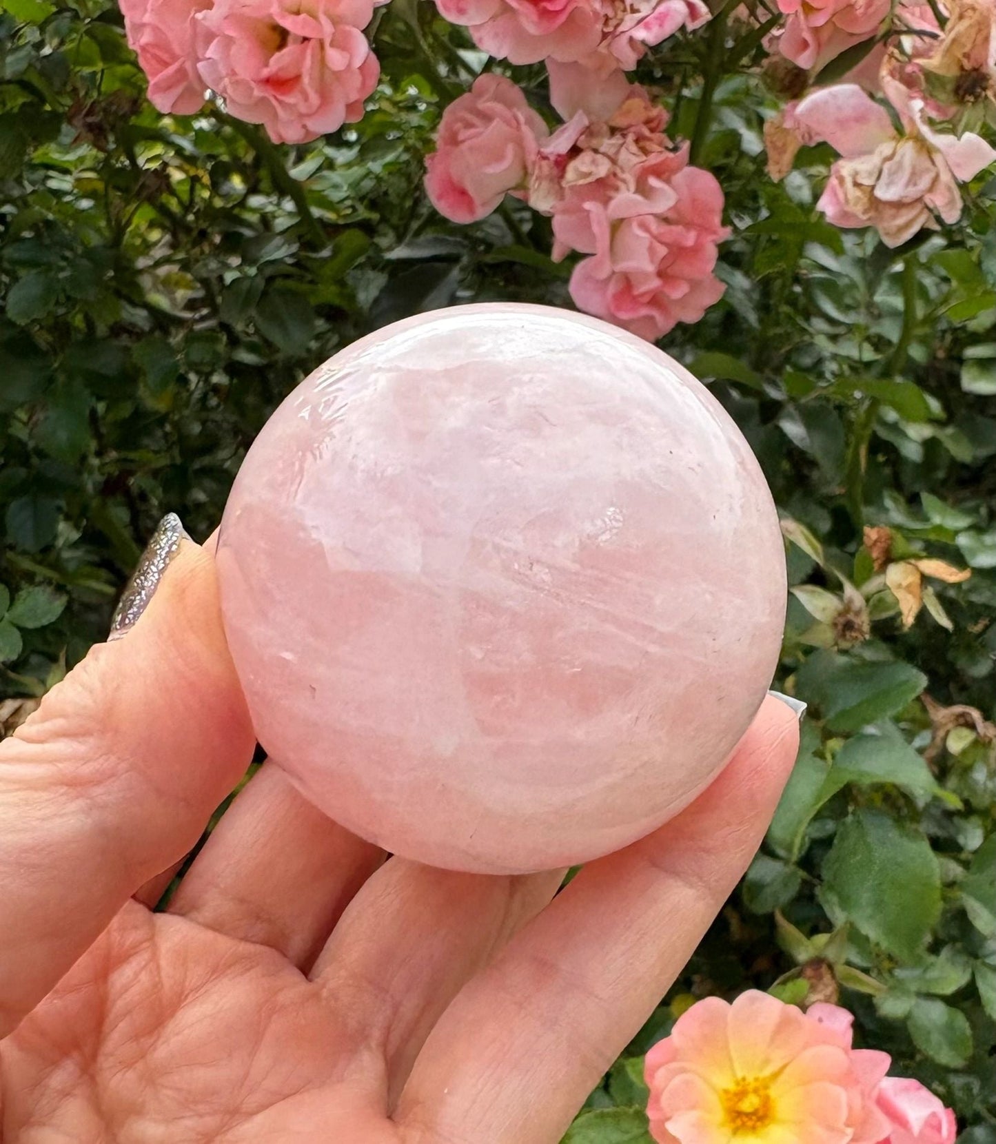 💗 Rose Quartz Sphere – Love, Heart Healing & Soft Power | 8.49 oz
