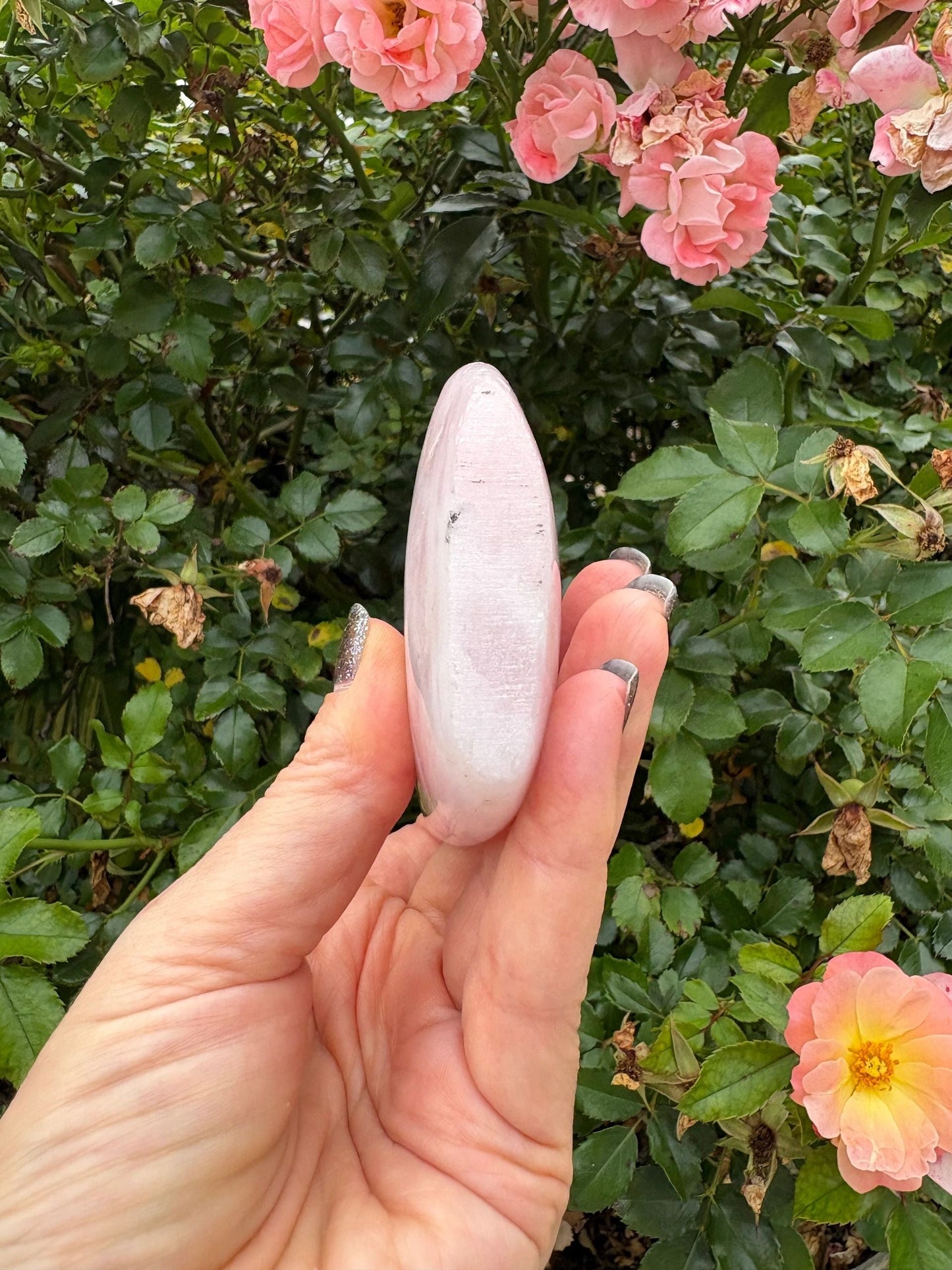 💗 Rose Quartz Freeform – Love, Compassion & Emotional Ease | Choose Your Piece