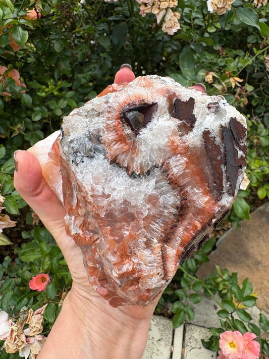 "Rootfire Harmony" Red Calcite Formation | Vitality & Emotional Alignment Grounding | Creative Energy | Energetic Flow