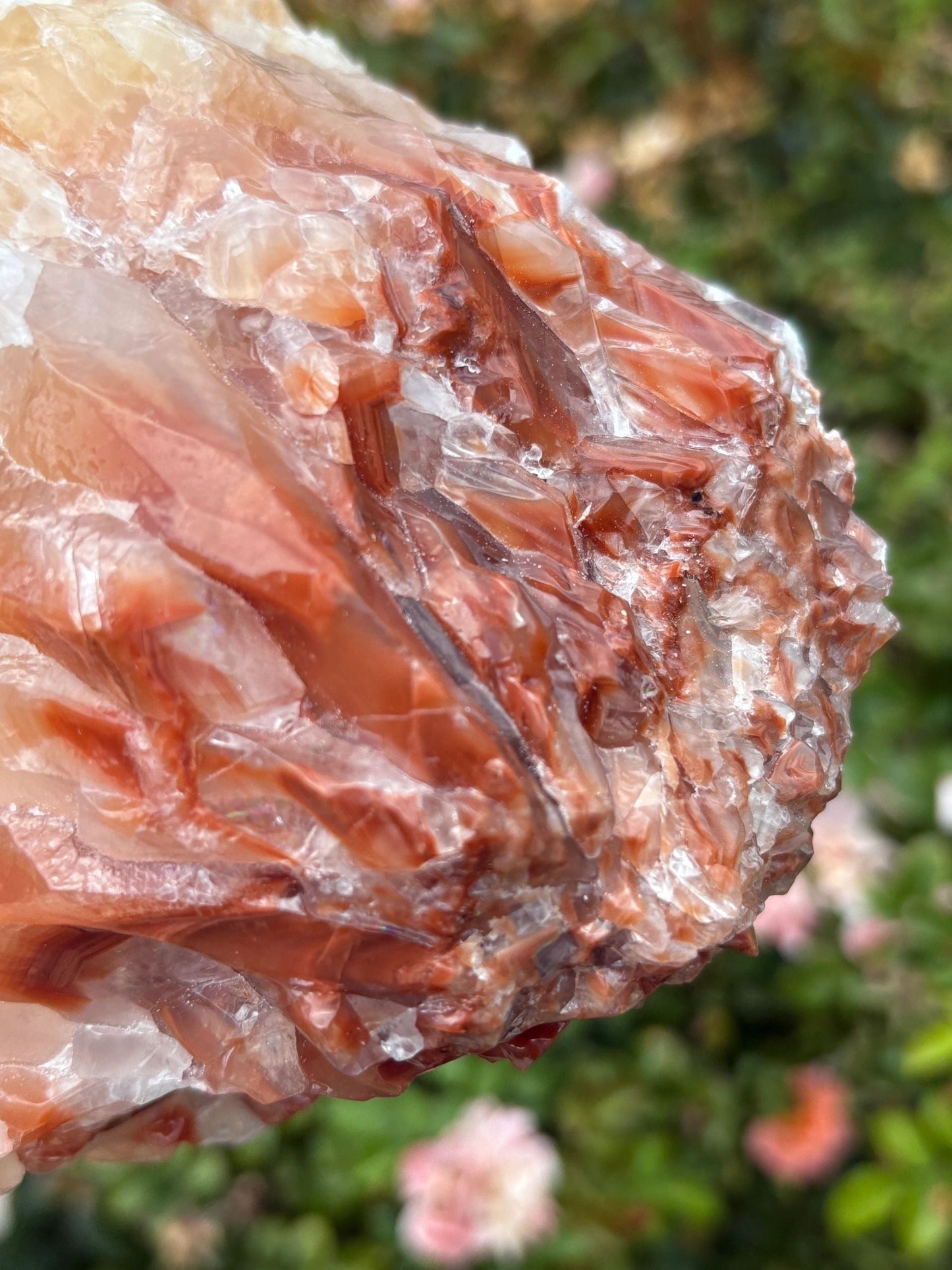 "Solar Rise" Red Calcite Formation | Strength & Creative Emergence Stability | Vitality | Emotional Uplift