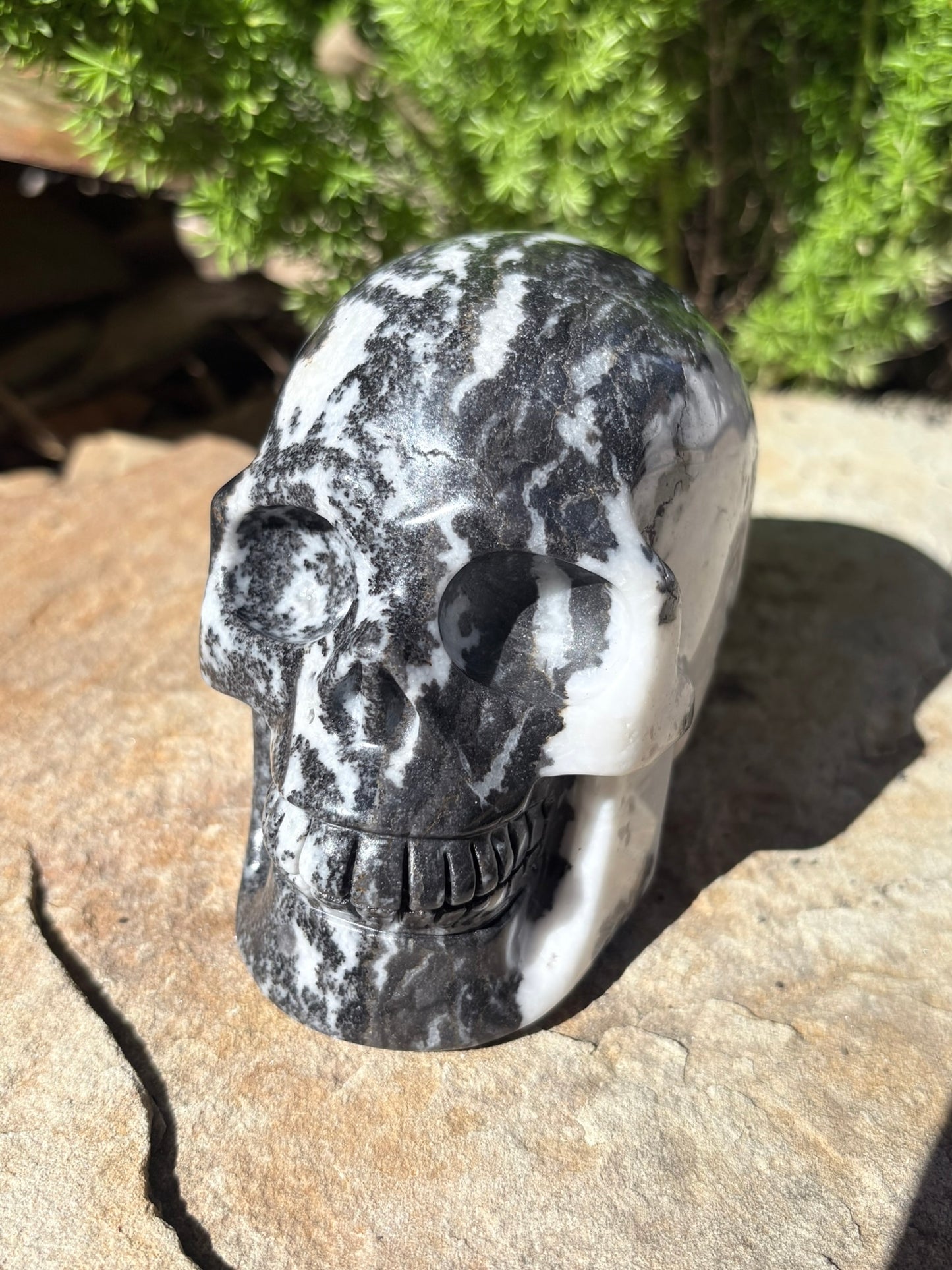 Zebra Jasper Skull – Balance • Grounding • Yin–Yang Harmony