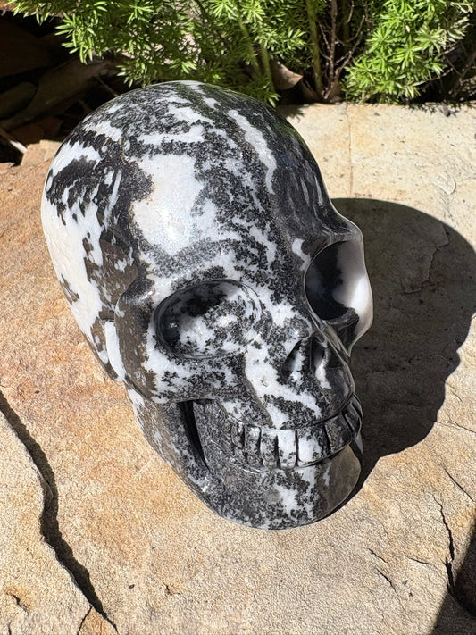 Zebra Jasper Skull – Balance • Grounding • Yin–Yang Harmony