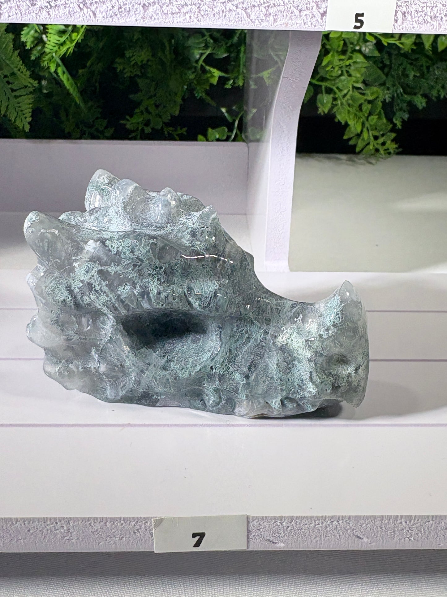 Moss Agate & Kiwi Jasper Dragon Guardians – Choose Your Dragon  Growth • Courage • Ancient Earth Magic