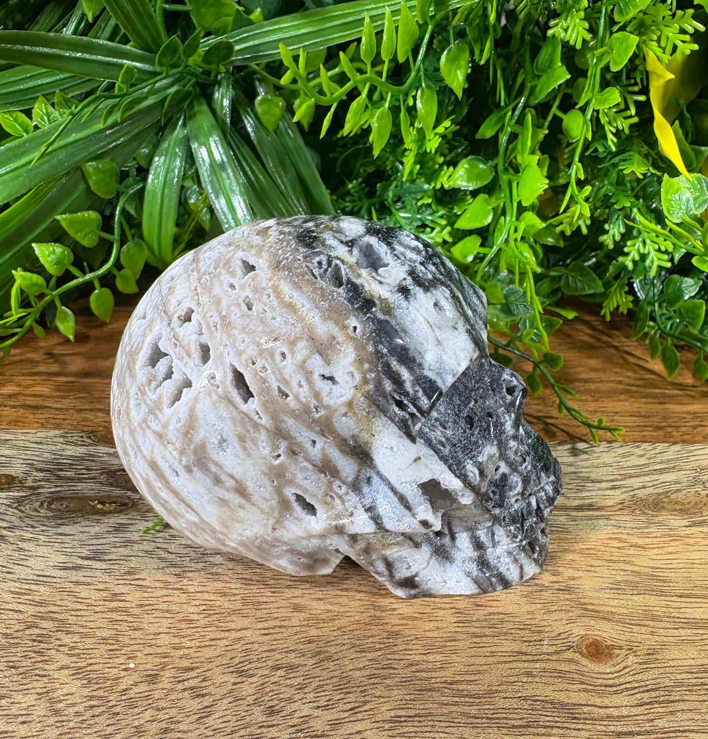 Sphalerite Skull with Druzy Caverns -  Grounding • Confidence • Transformation