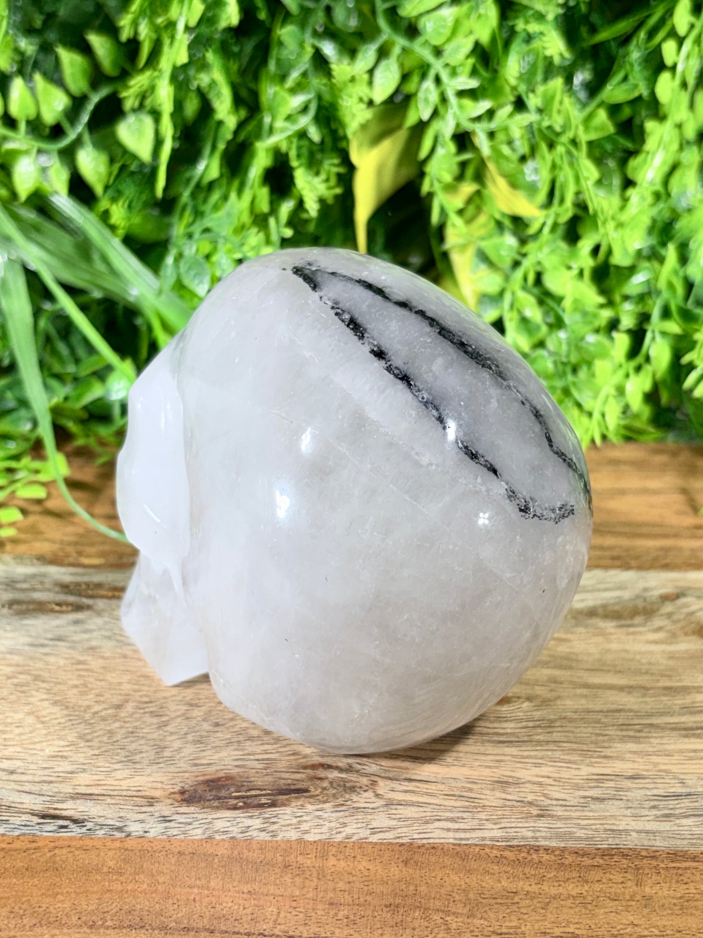 4.5" Tourmalinated Quartz Skull Protection • Clarity • Grounding - 2.20 lbs.