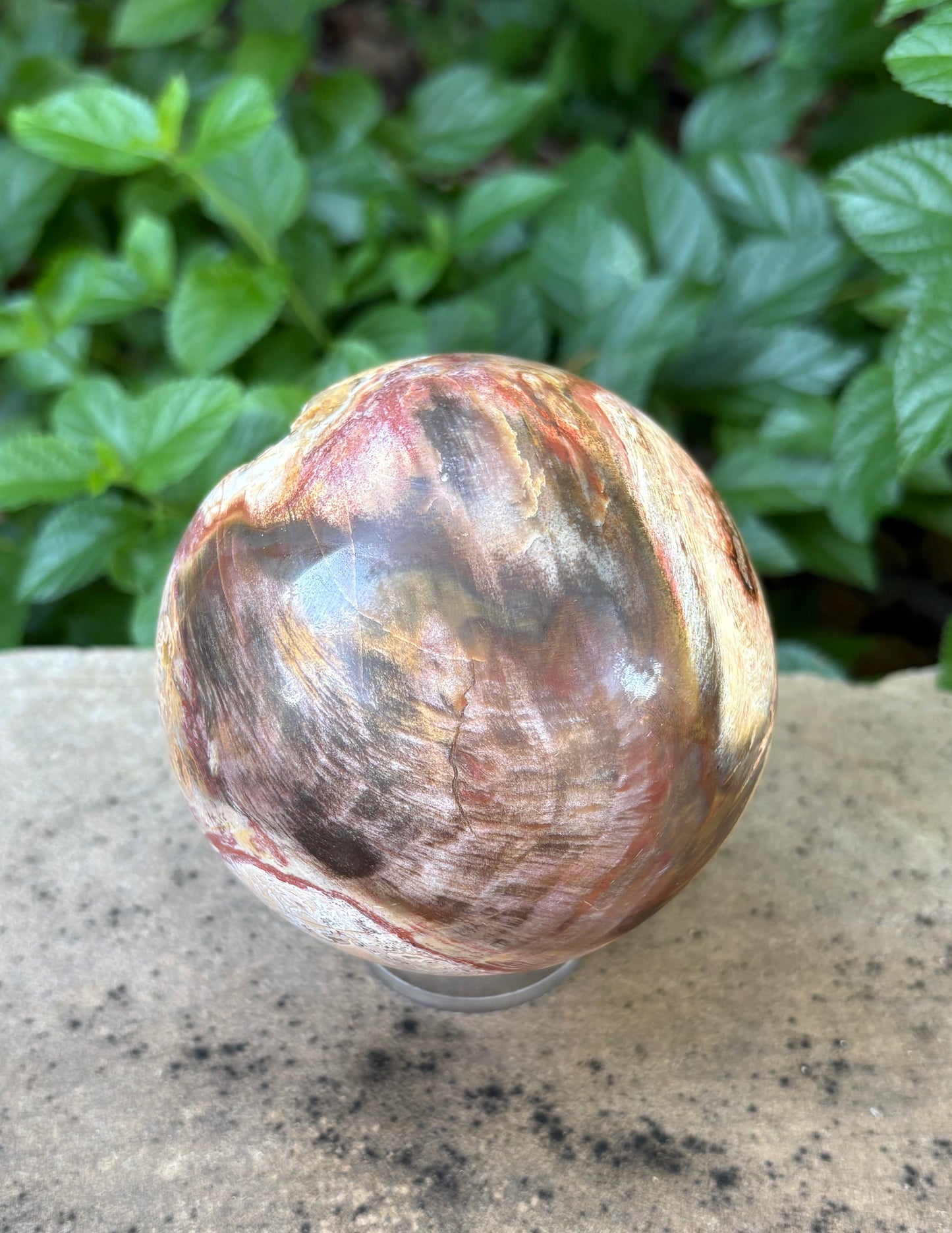 Petrified Wood Sphere with Open Cavern - Grounding • Ancient Wisdom • Transformation