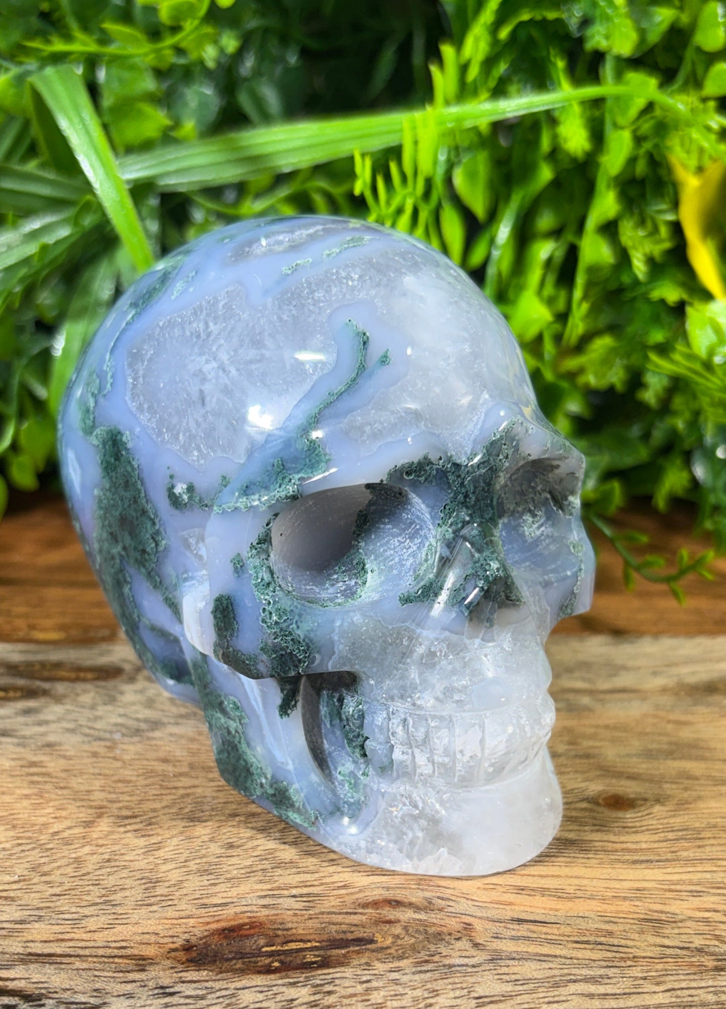 Moss Agate Skull -  Grounding • Growth • Abundance