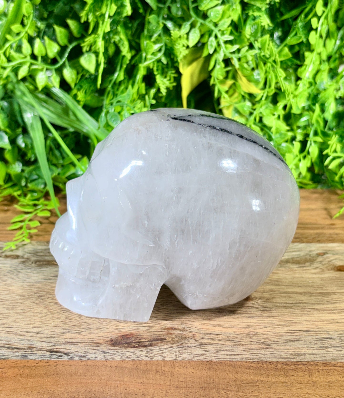 4.5" Tourmalinated Quartz Skull Protection • Clarity • Grounding - 2.20 lbs.