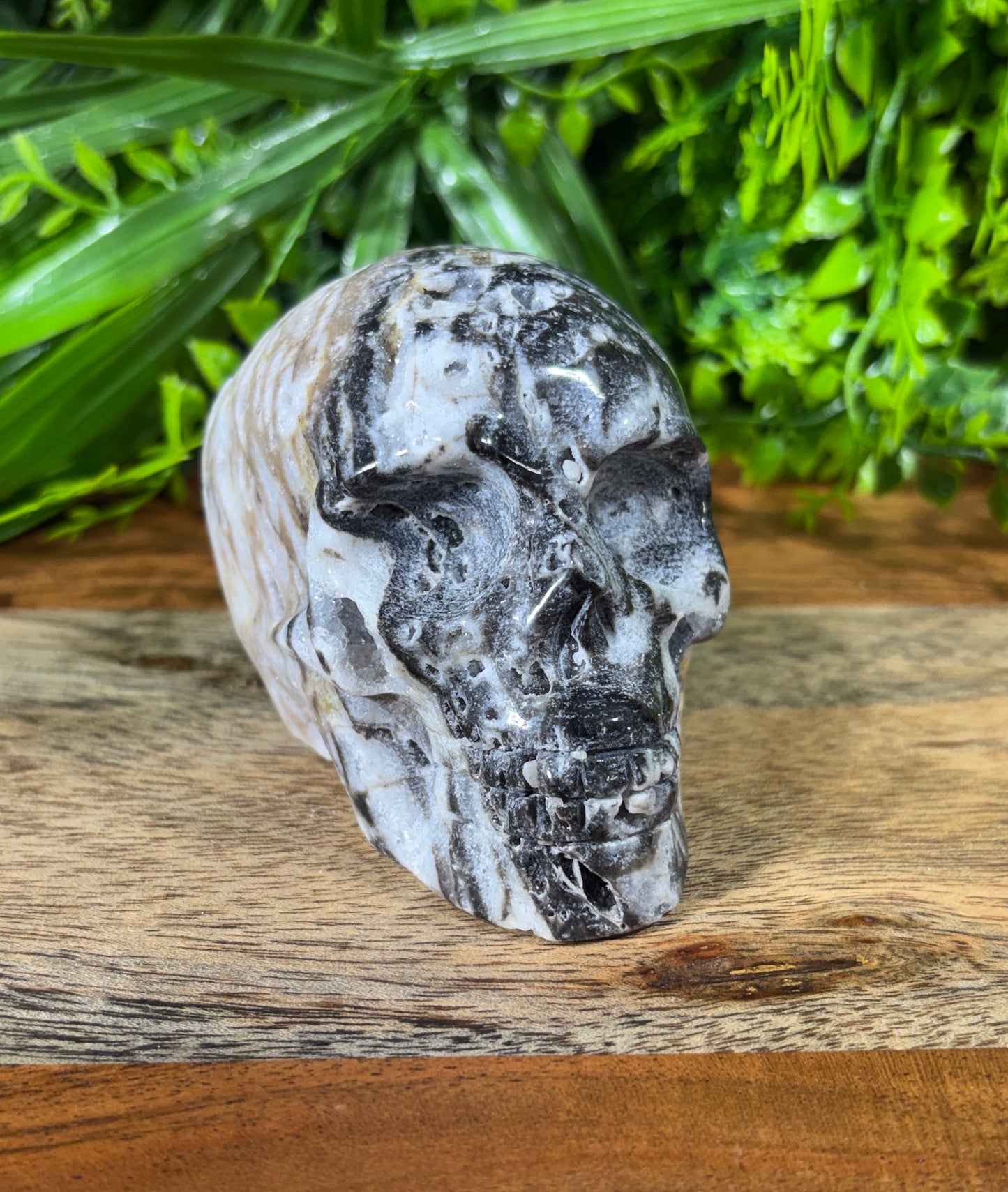 Sphalerite Skull with Druzy Caverns -  Grounding • Confidence • Transformation