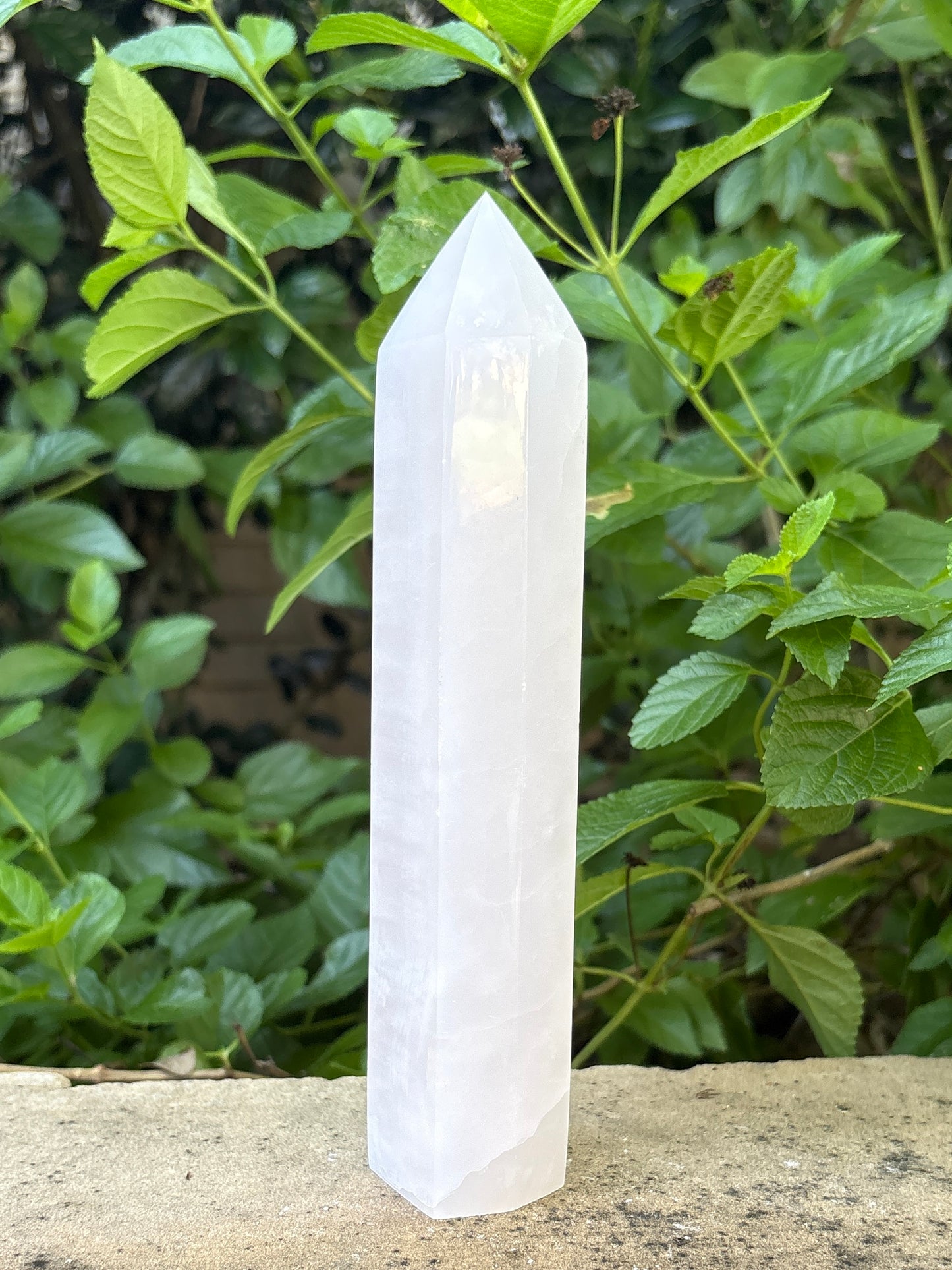 UV Reactive Pink Calcite - Compassion • Emotional Balance • Gentle Energy