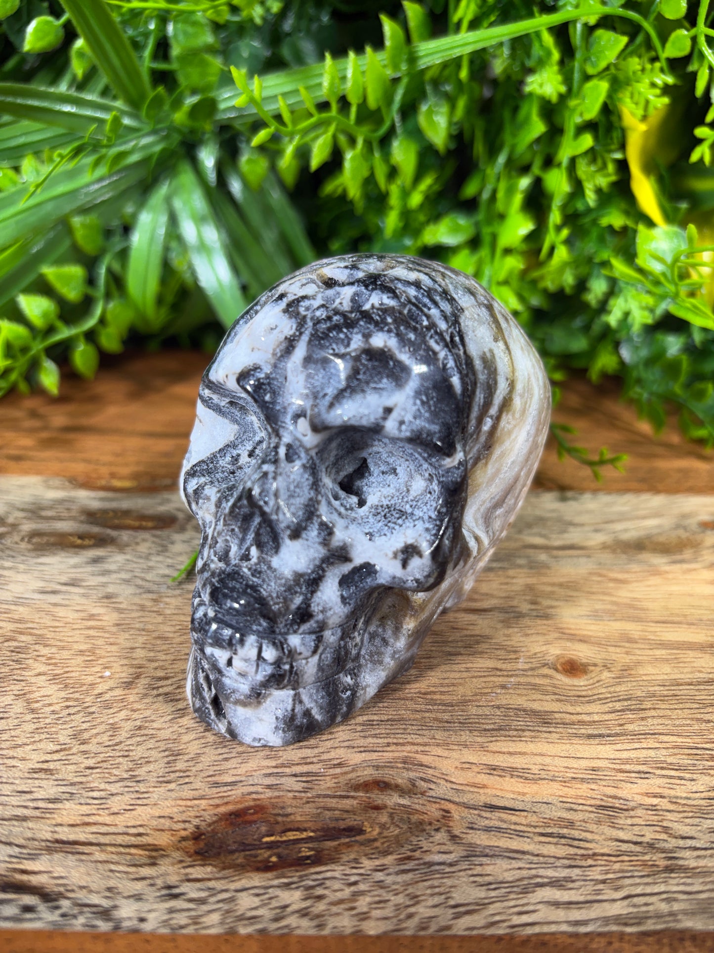Sphalerite Skull with Druzy Caverns -  Grounding • Confidence • Transformation