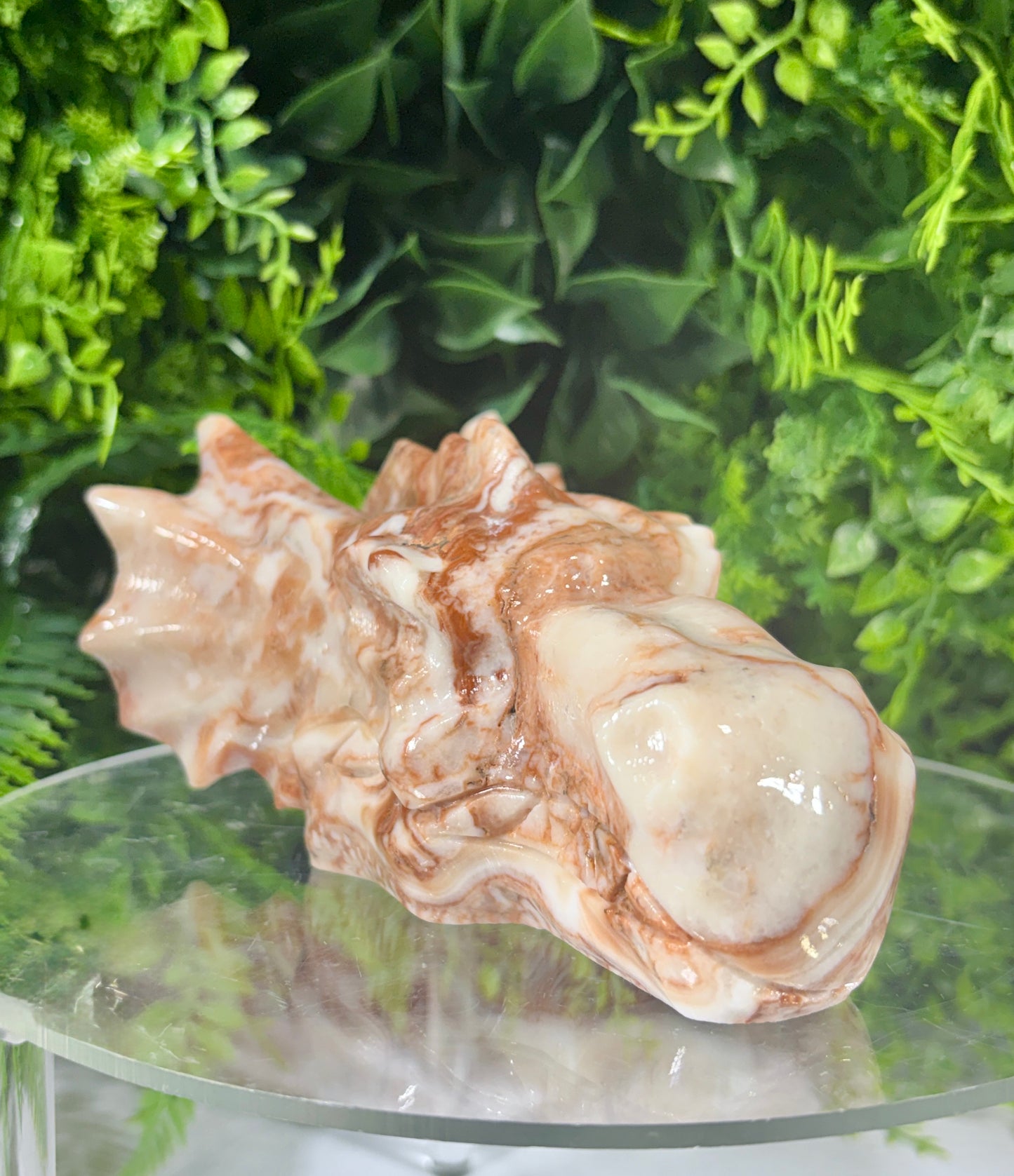 Carved Calcite Dragon Head -Confidence • Joy • Empowered Energy