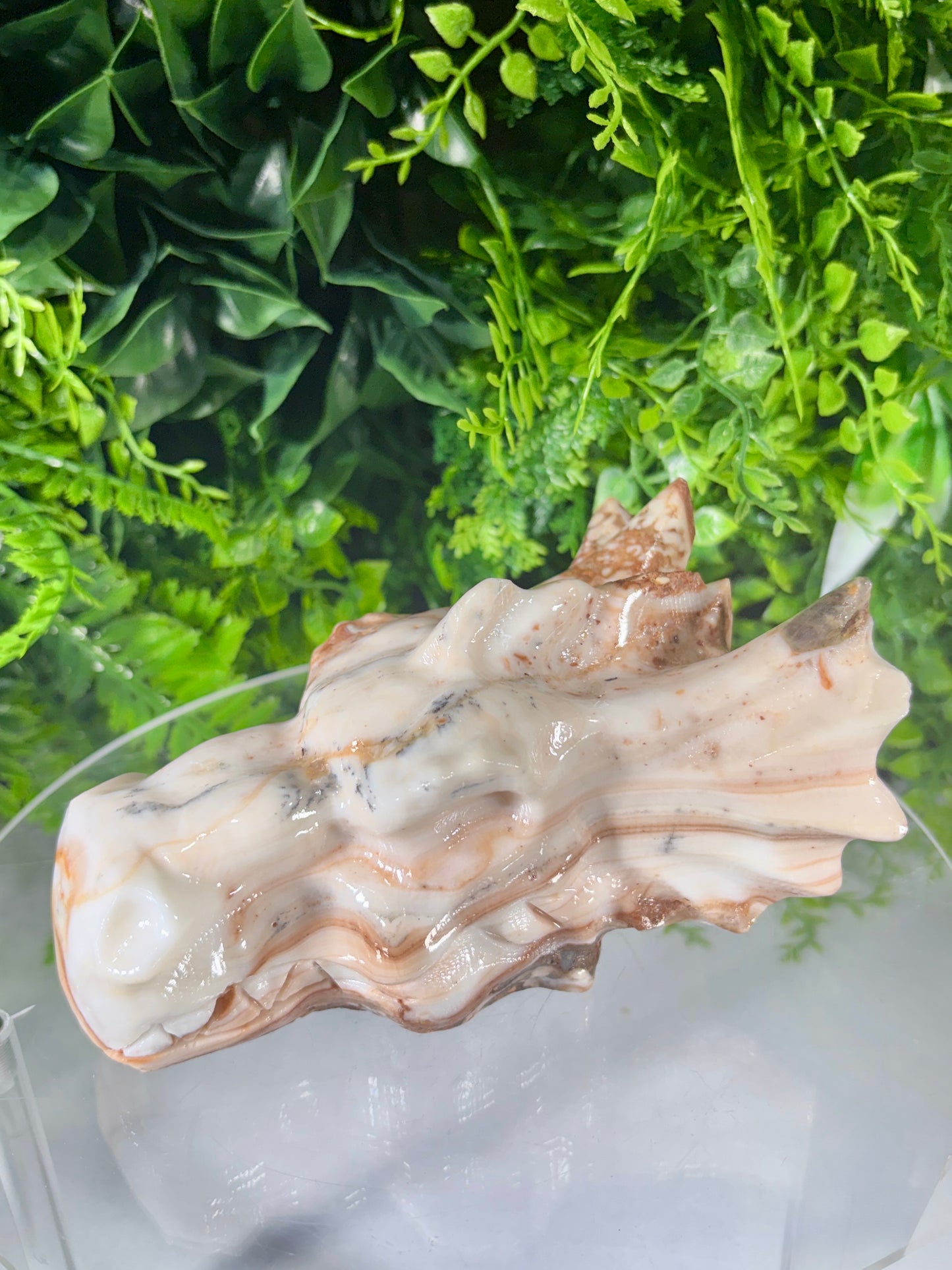 Amber Calcite Dragon Head Carving - Confidence • Clarity • Ancient Wisdom