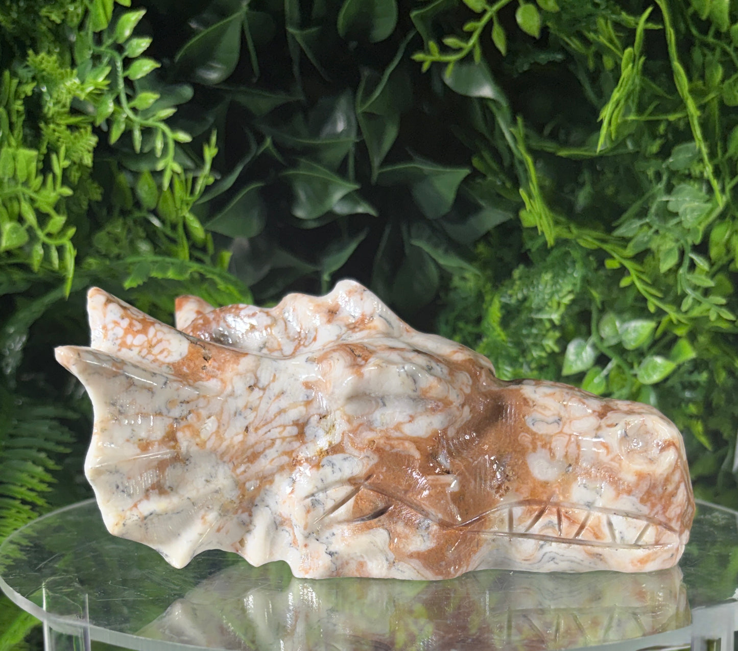 Amber Calcite Dragon Head Carving - Confidence • Joy • Empowered Energy