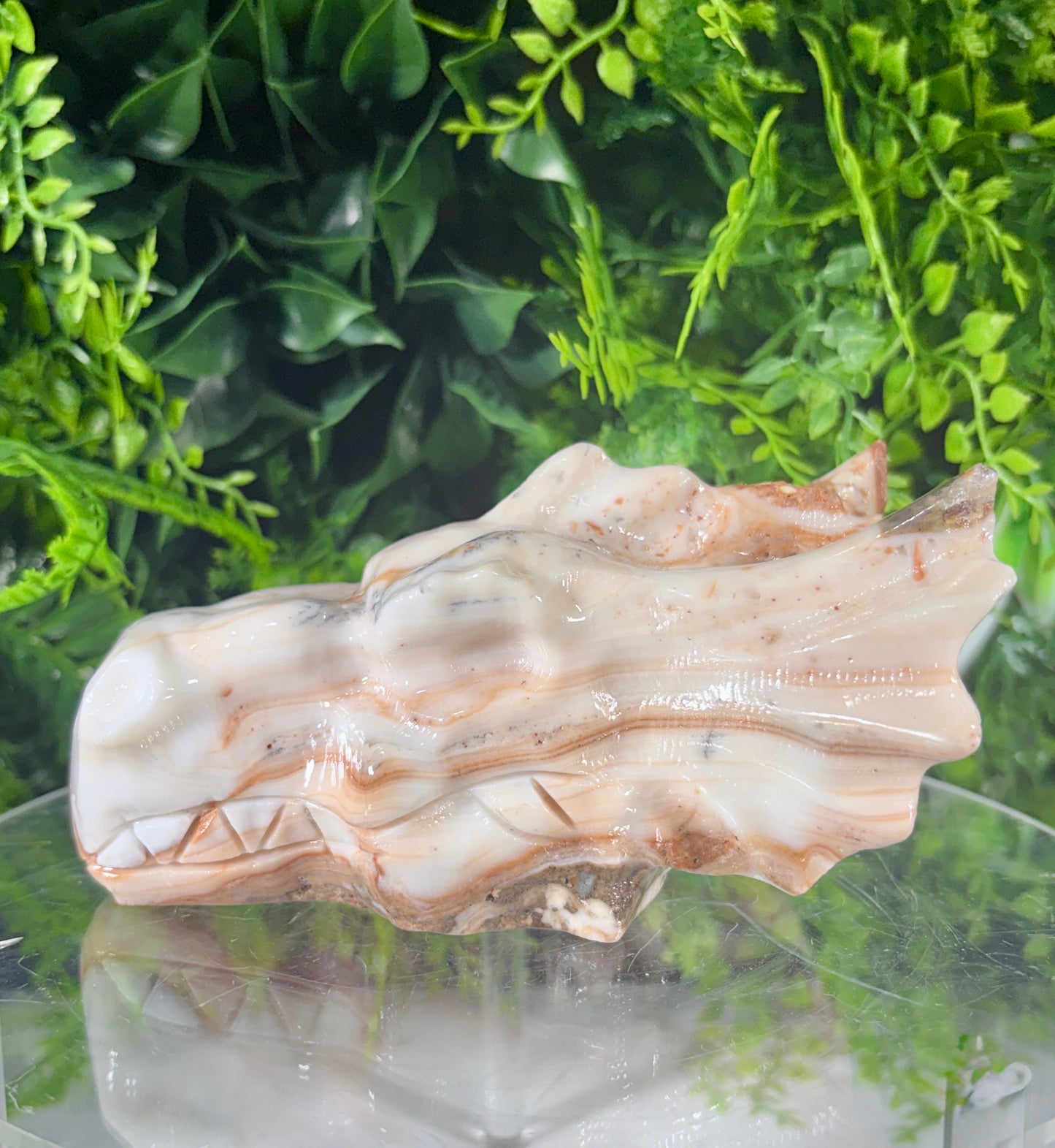 Amber Calcite Dragon Head Carving - Confidence • Clarity • Ancient Wisdom