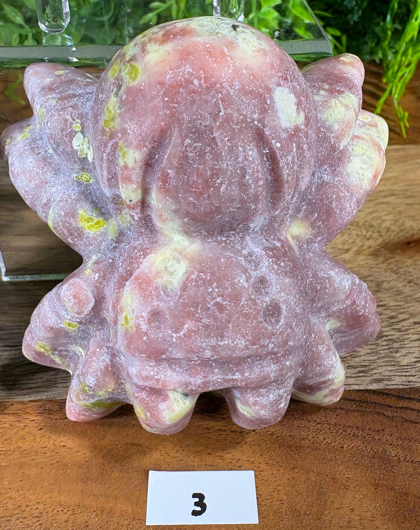 Crystal Spider Carvings - Creativity • Patience • Manifestation