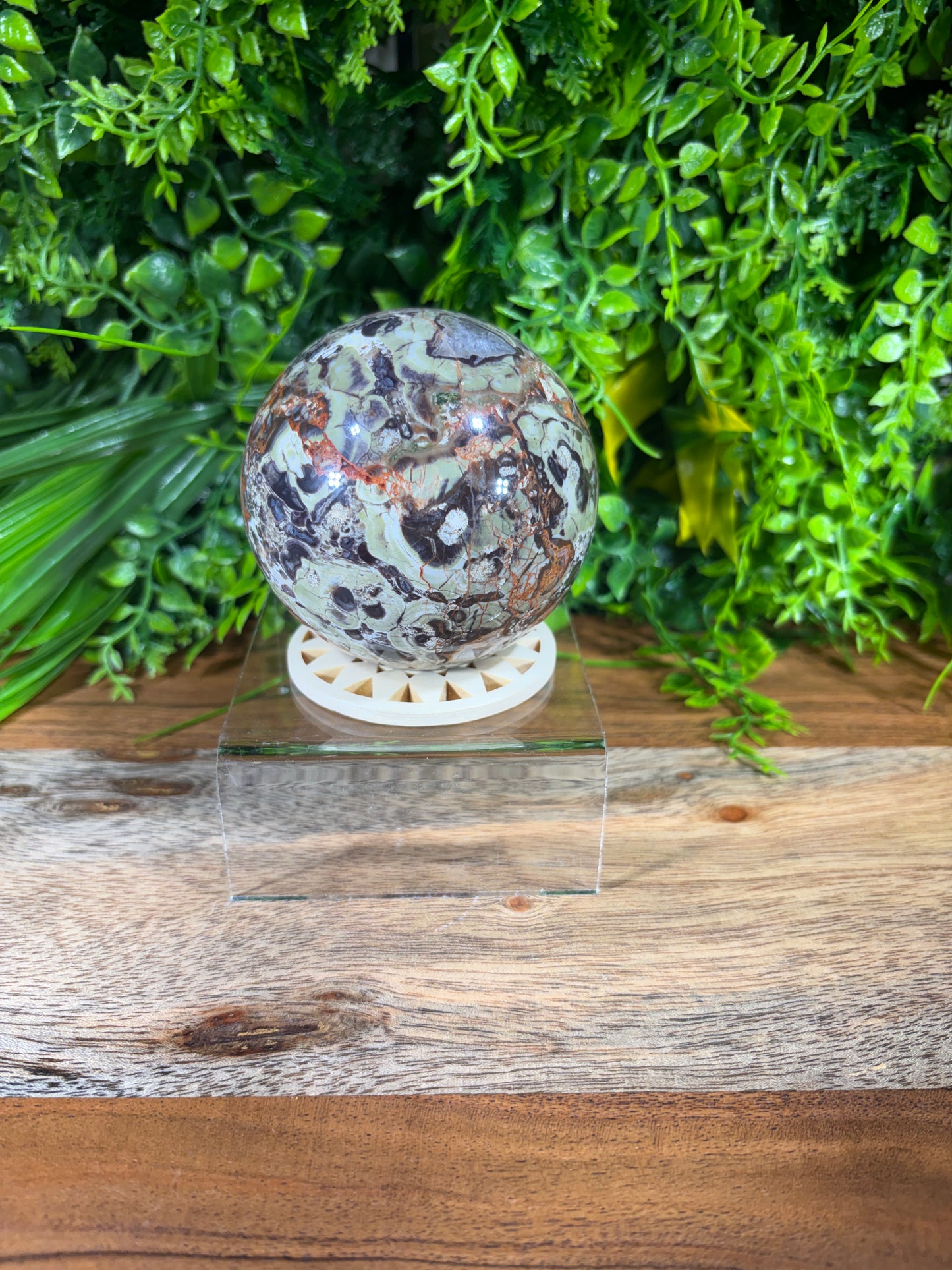 Money Agate Sphere -  Abundance • Prosperity • Growth