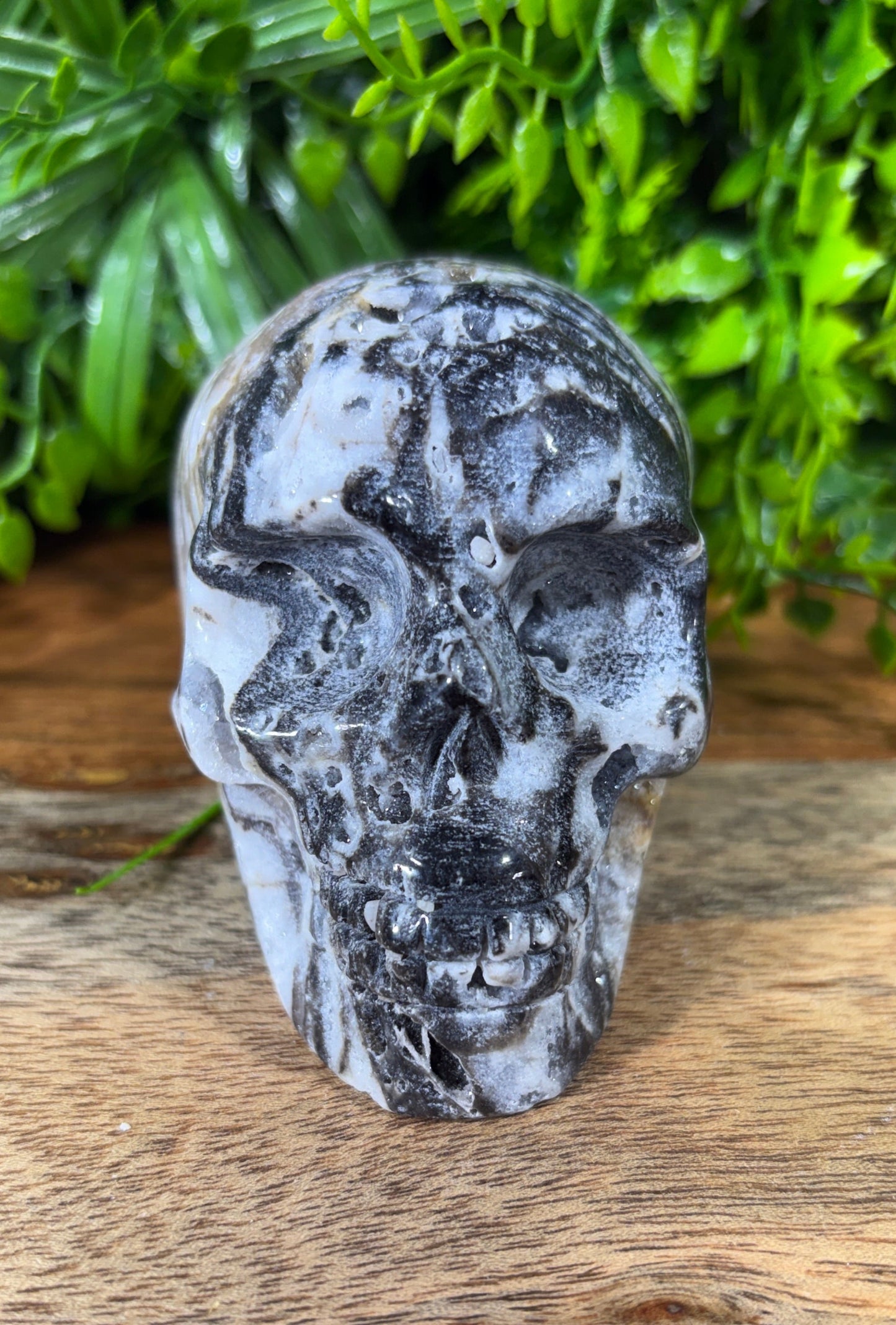 Sphalerite Skull with Druzy Caverns -  Grounding • Confidence • Transformation