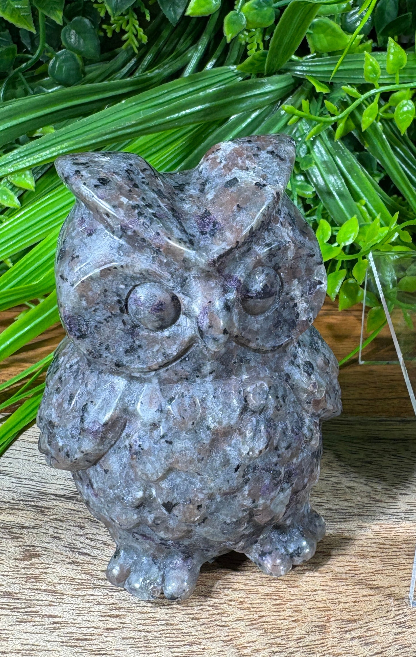 A small carved owl figurine in textured gray stone, displayed on a wooden surface with green foliage in the background.