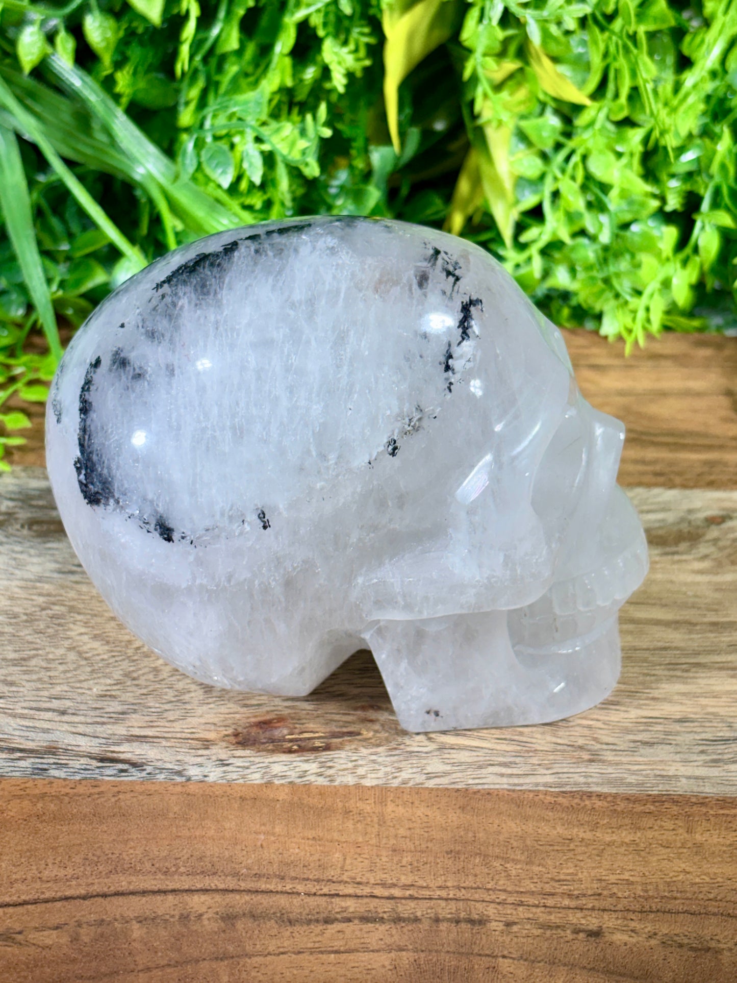 4.5" Tourmalinated Quartz Skull Protection • Clarity • Grounding - 2.20 lbs.