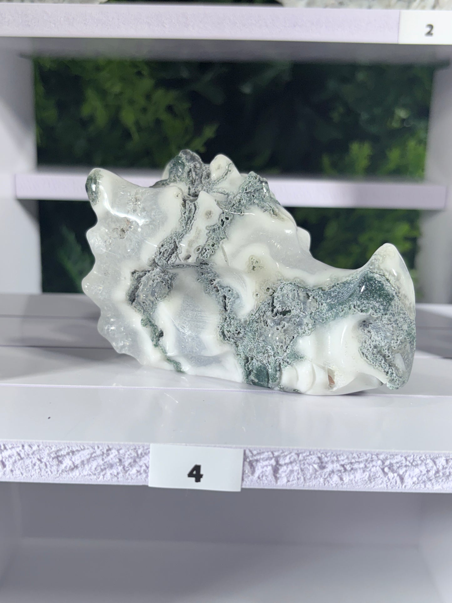 Moss Agate & Kiwi Jasper Dragon Guardians – Choose Your Dragon  Growth • Courage • Ancient Earth Magic