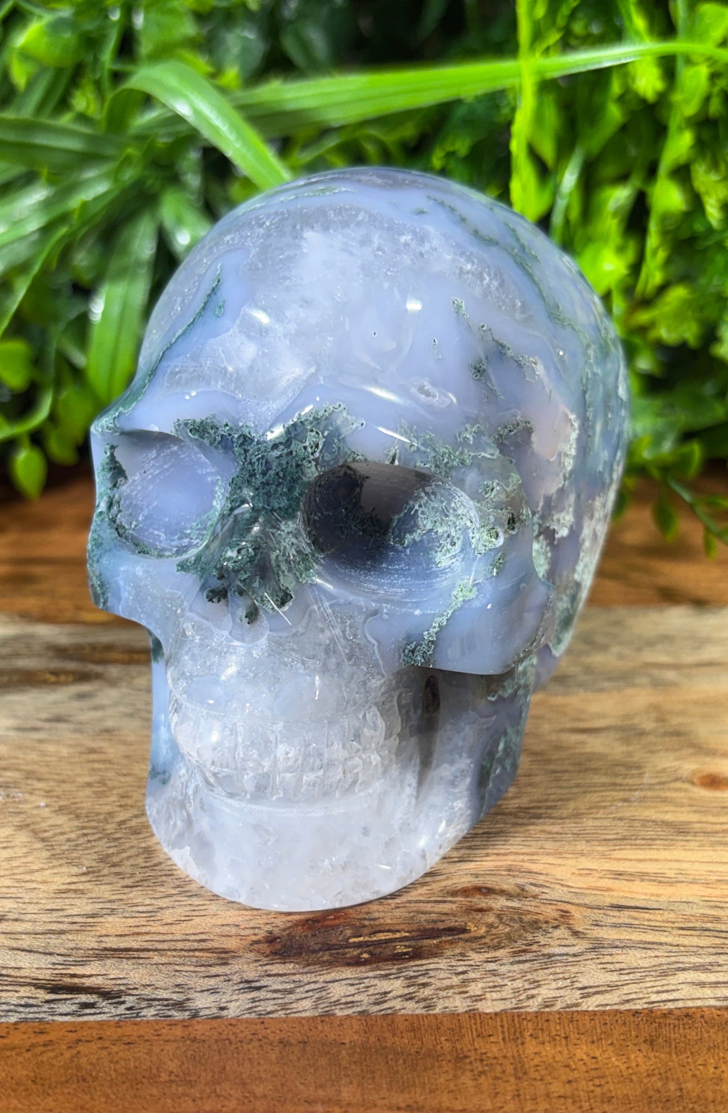 Moss Agate Skull -  Grounding • Growth • Abundance