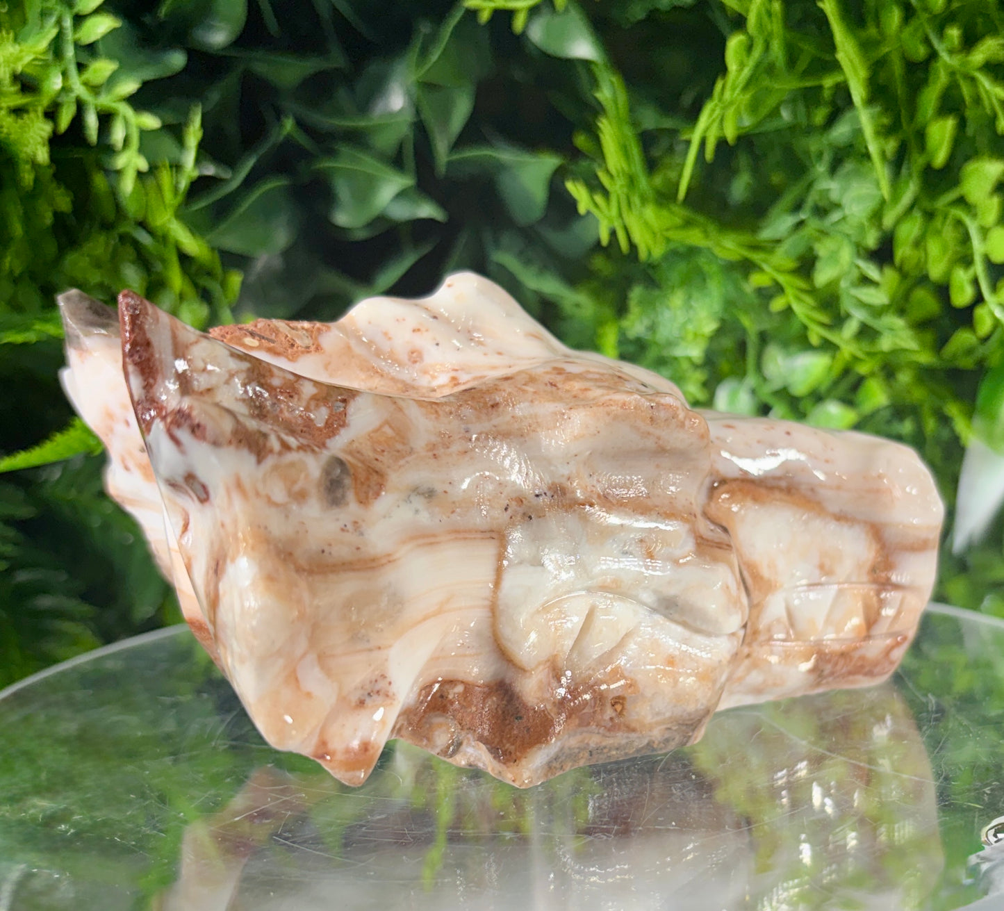 Amber Calcite Dragon Head Carving - Confidence • Clarity • Ancient Wisdom