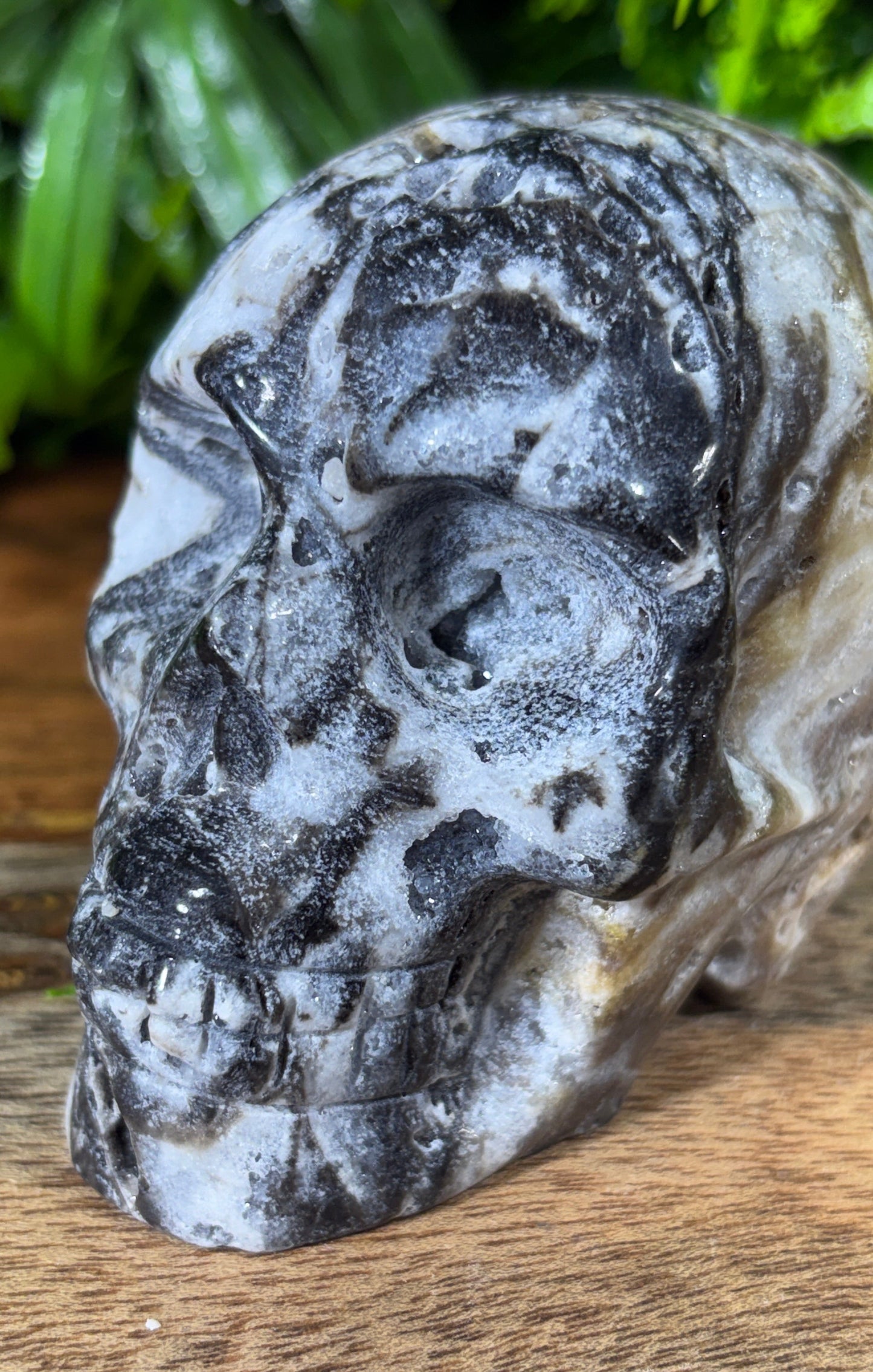 Sphalerite Skull with Druzy Caverns -  Grounding • Confidence • Transformation