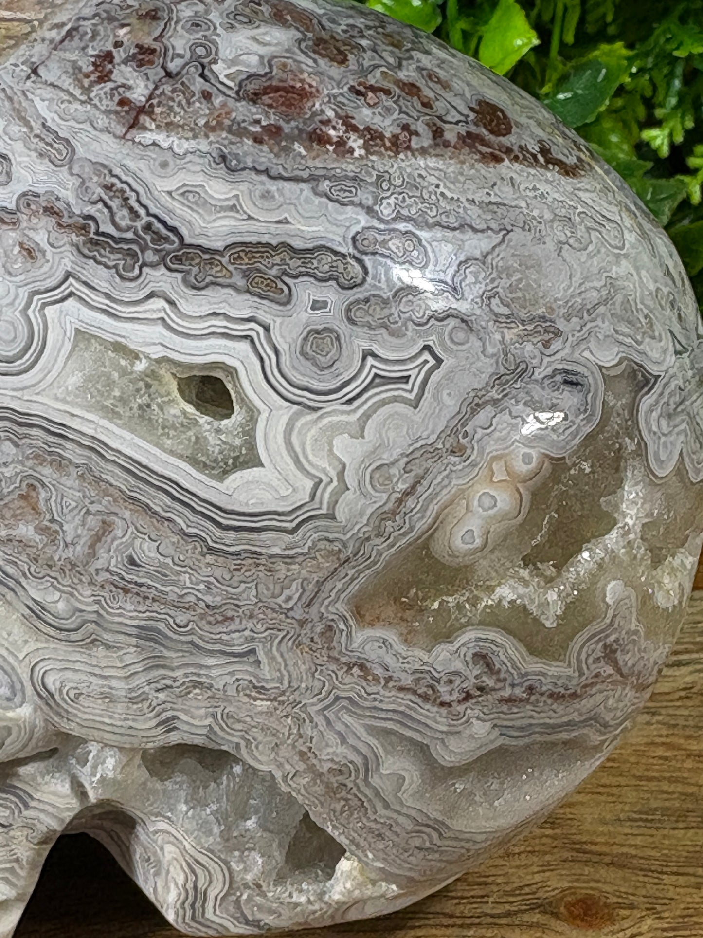 White Mexican Lace Agate Skull -  Balance • Clarity • Grounding