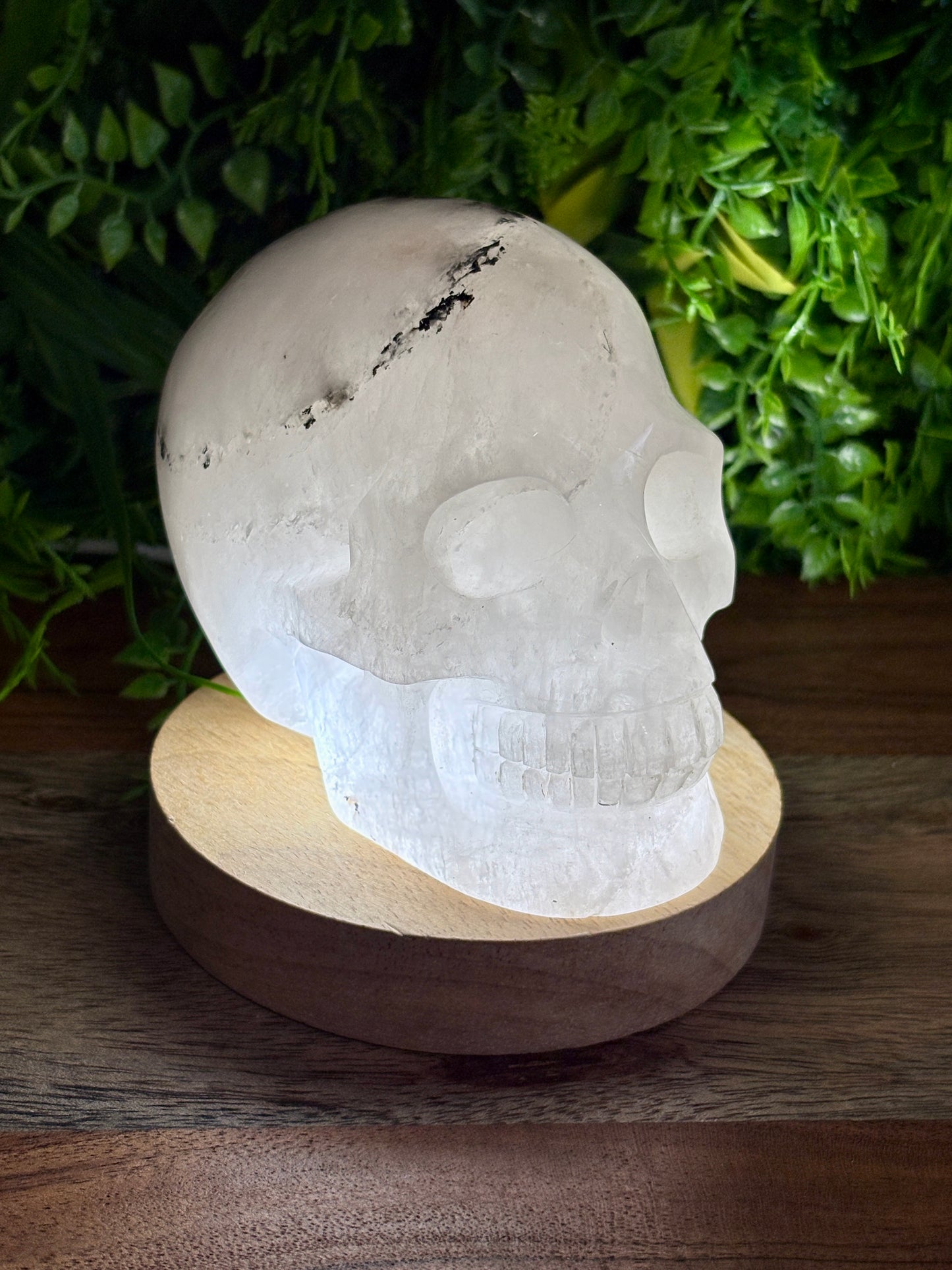 4.5" Tourmalinated Quartz Skull Protection • Clarity • Grounding - 2.20 lbs.