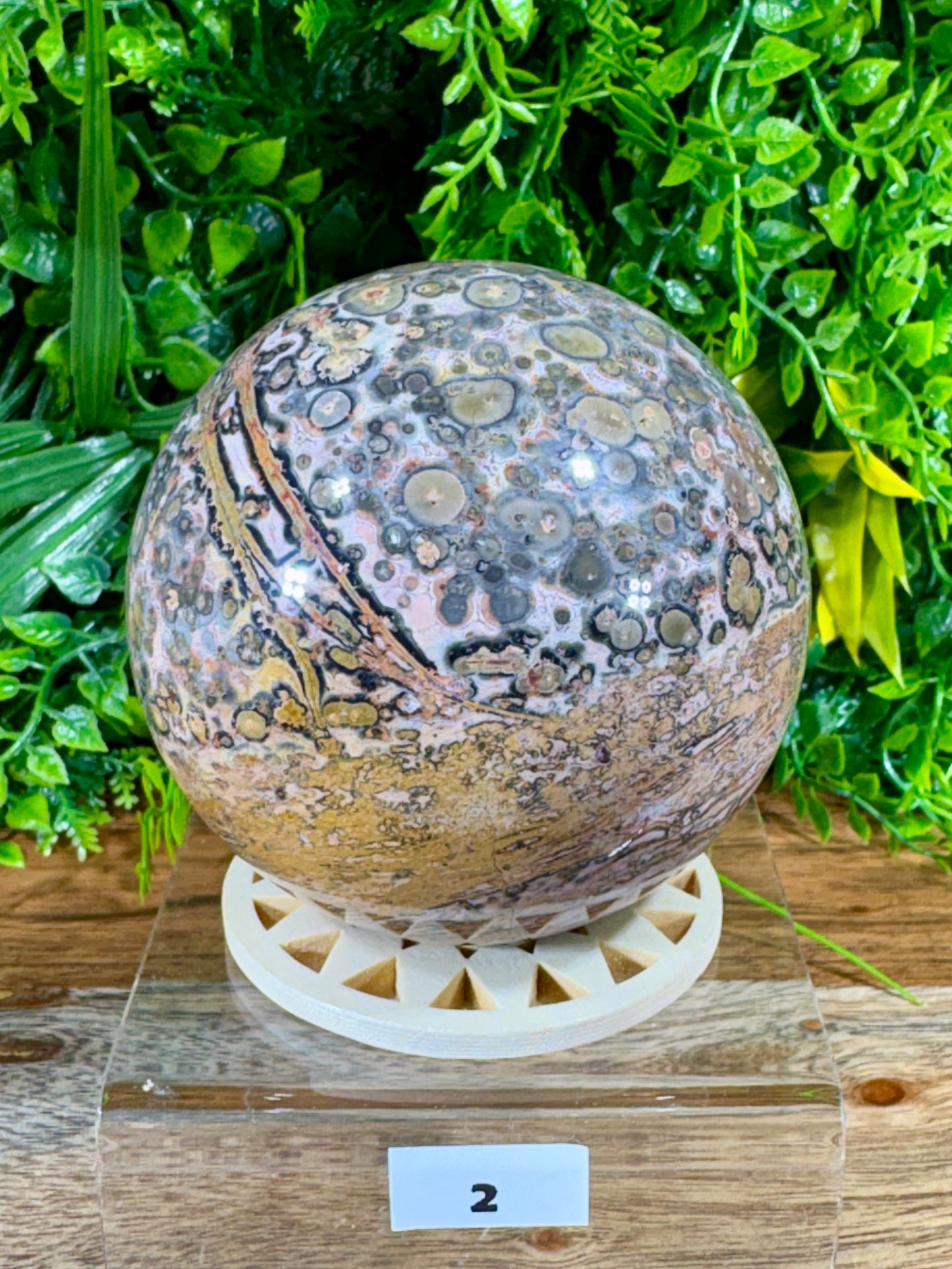 Leopard Skin Jasper Spheres Confidence • Grounding • Adventure