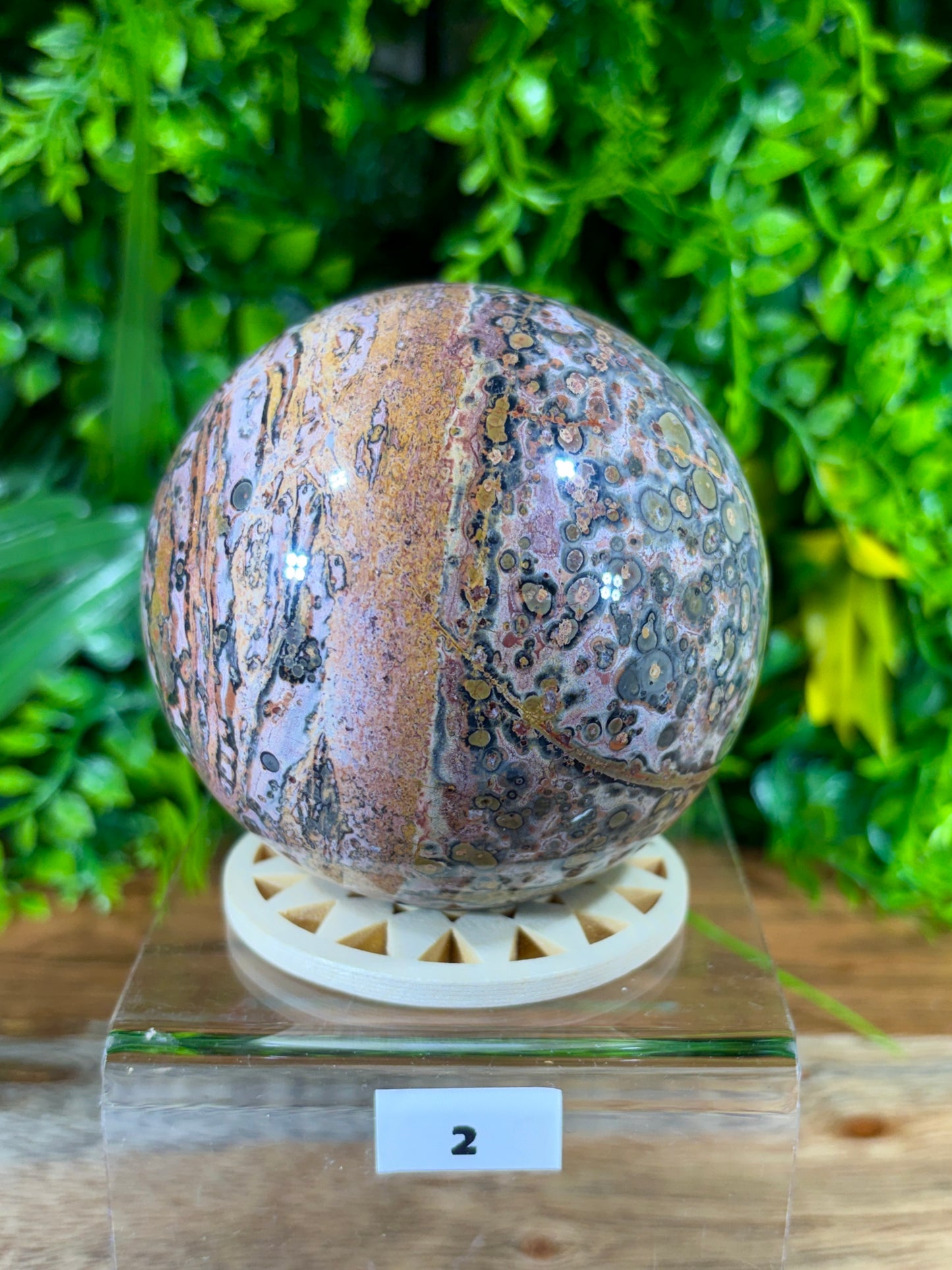Leopard Skin Jasper Spheres Confidence • Grounding • Adventure