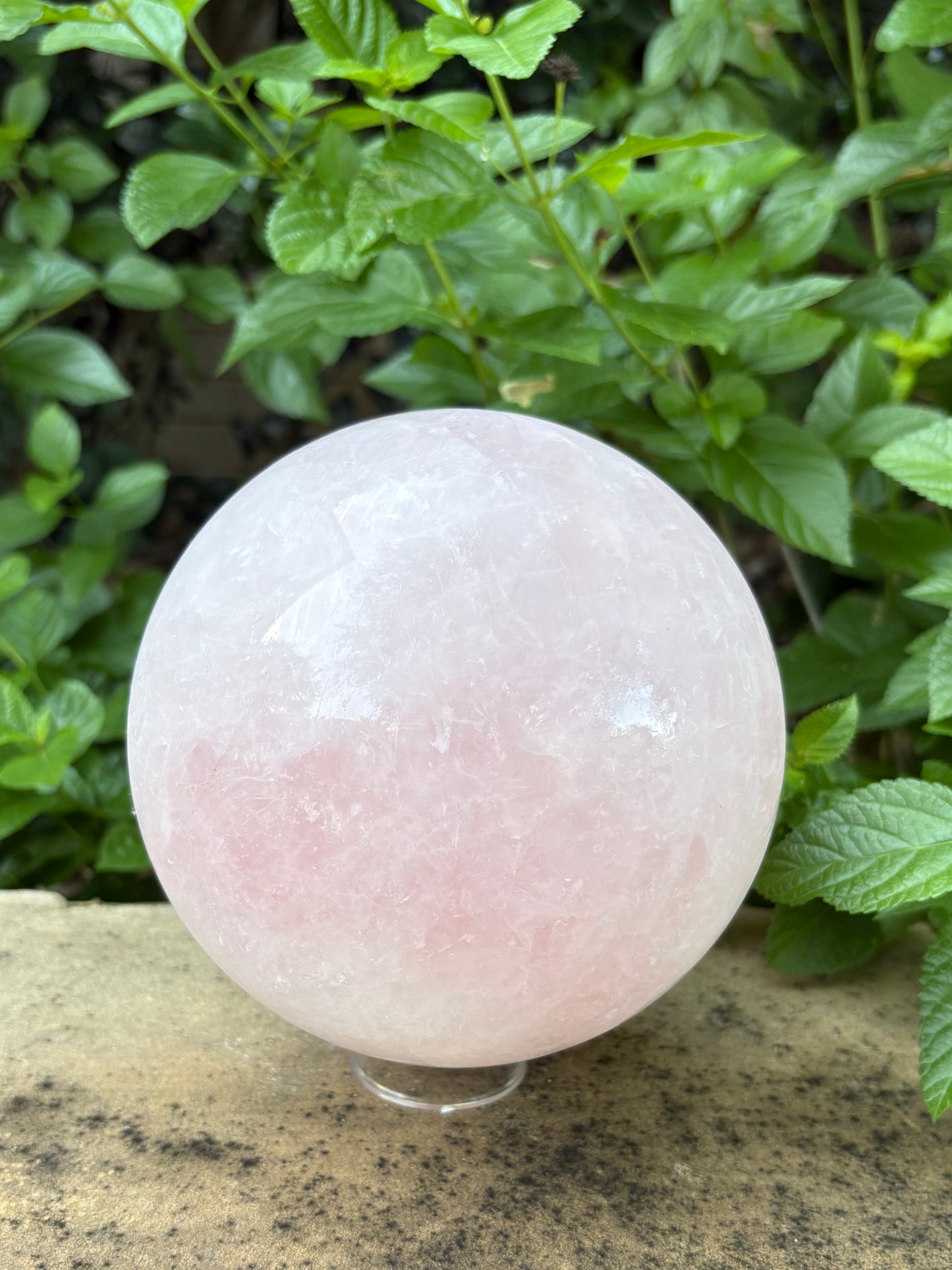 Large Rose Quartz Sphere 10.27 lbs. Love & Compassion