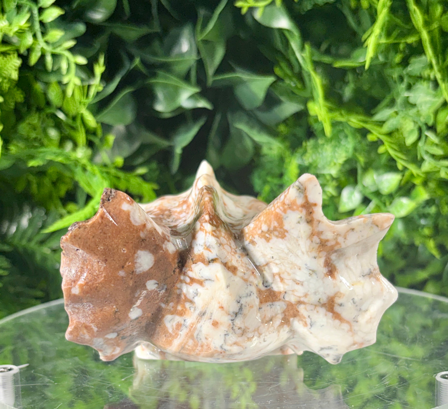 Amber Calcite Dragon Head Carving - Confidence • Joy • Empowered Energy